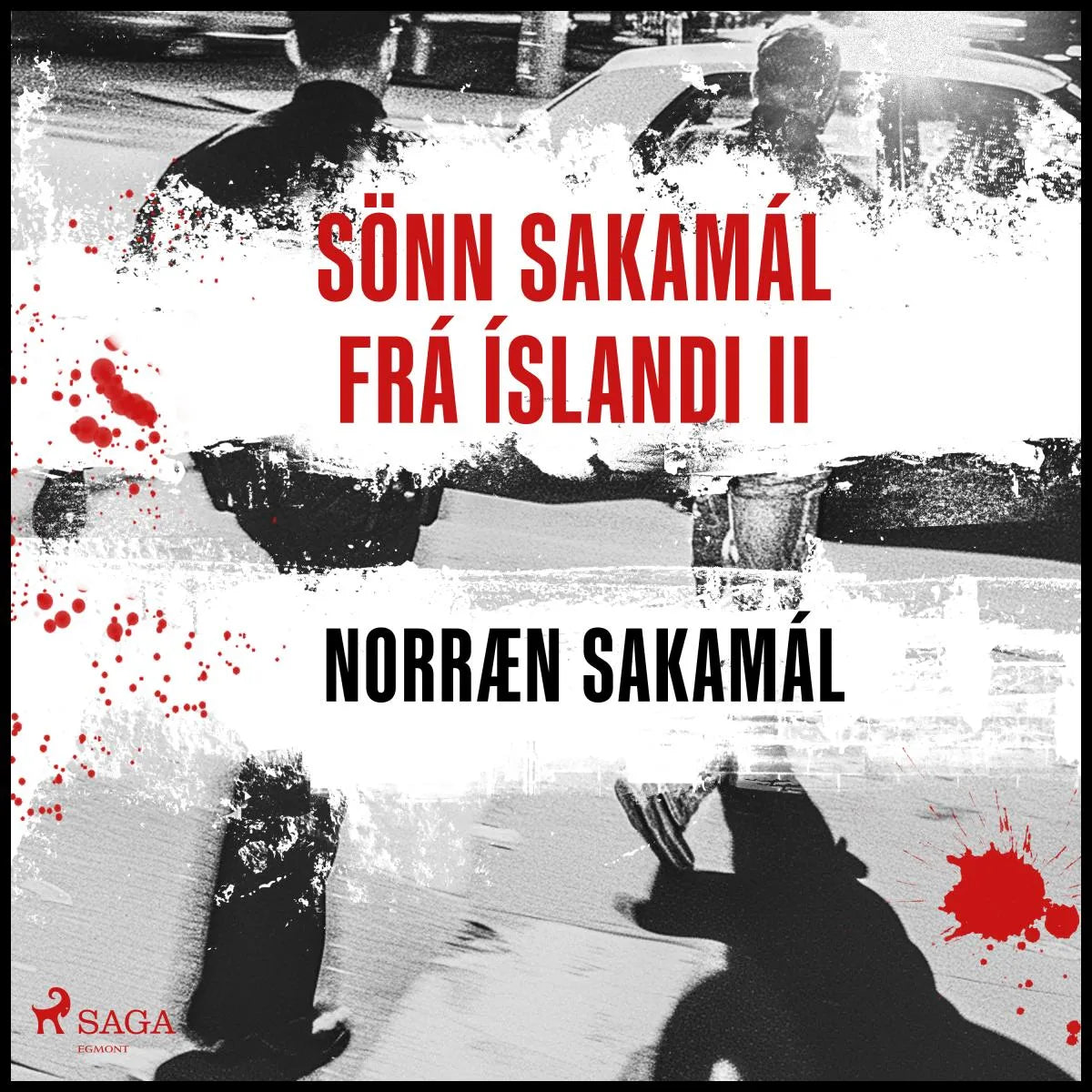 Cover: Sönn Sakamál frá Íslandi II (Hörbuch Download) von Ýmsir