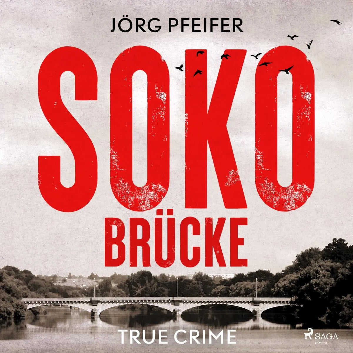 Cover: SOKO Brücke (Hörbuch Download) von Jörg Pfeifer