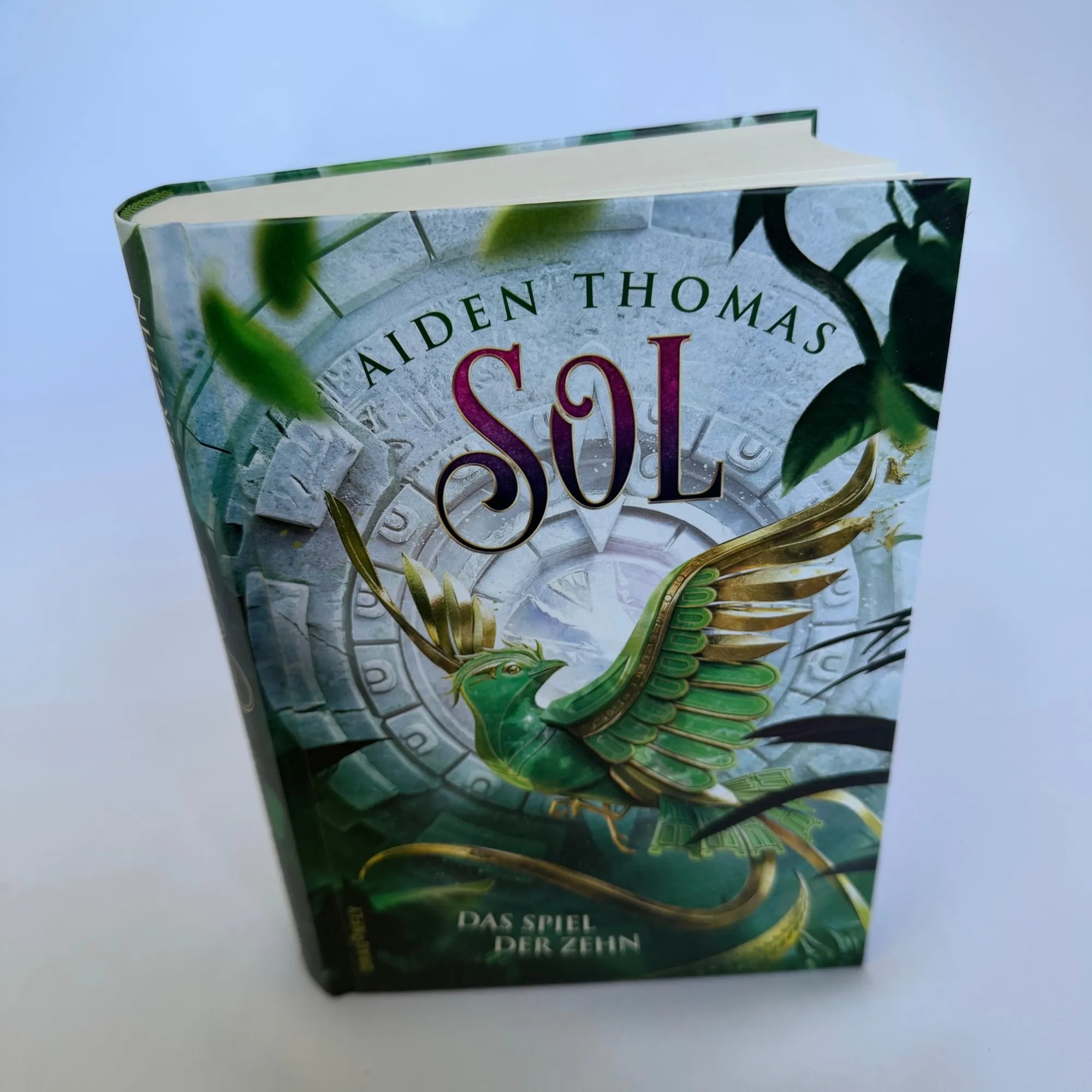 Produktansicht: SOL. Das Spiel der Zehn (Gebundene Ausgabe)