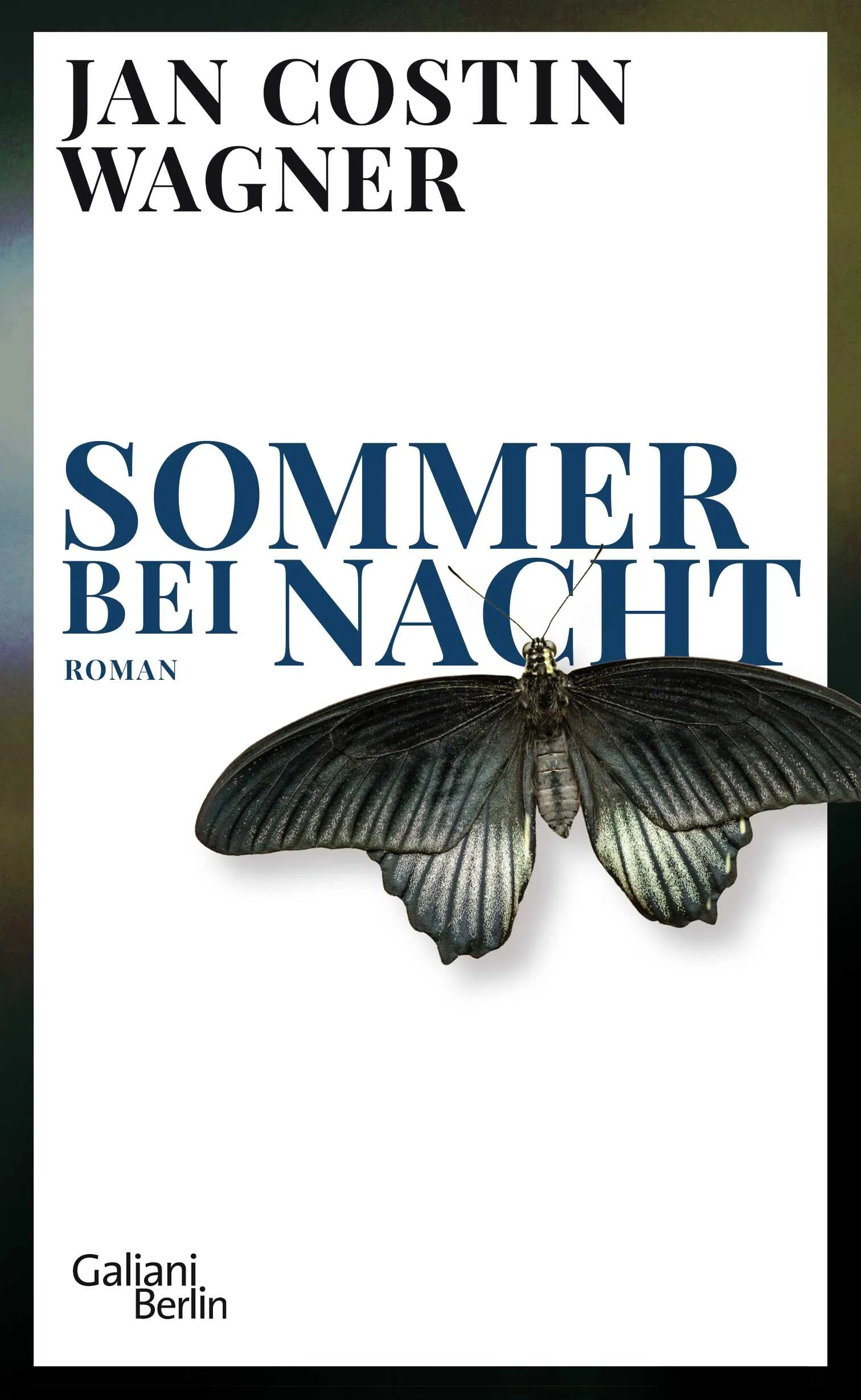 Buchcover von 'Sommer bei Nacht' - Gebundene Ausgabe von Jan Costin Wagner