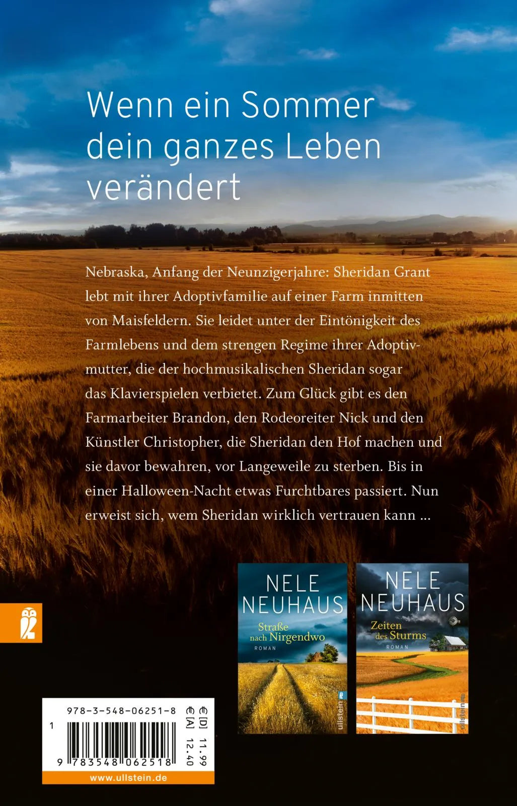 Buchrückseite von 'Sommer der Wahrheit' mit Klappentext - Taschenbuch