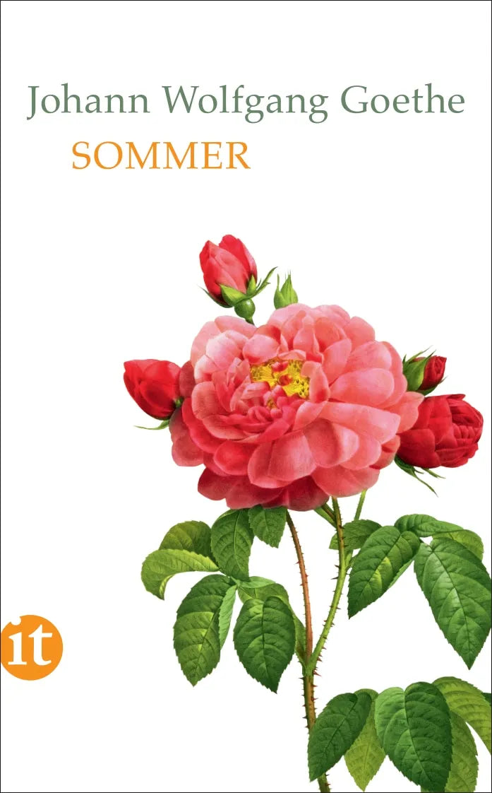 Buchcover von 'Sommer' - Taschenbuch von Johann Wolfgang Goethe