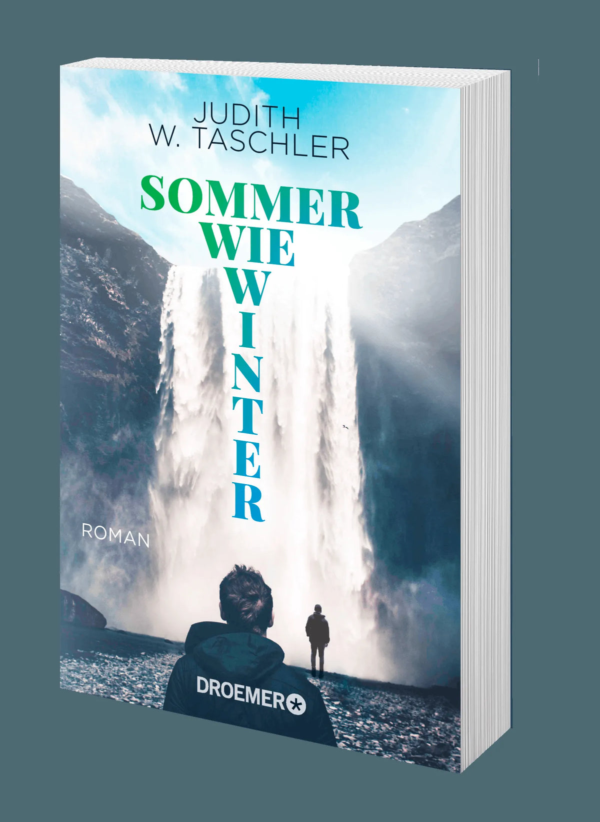 Detailansicht: Sommer wie Winter (Taschenbuch)