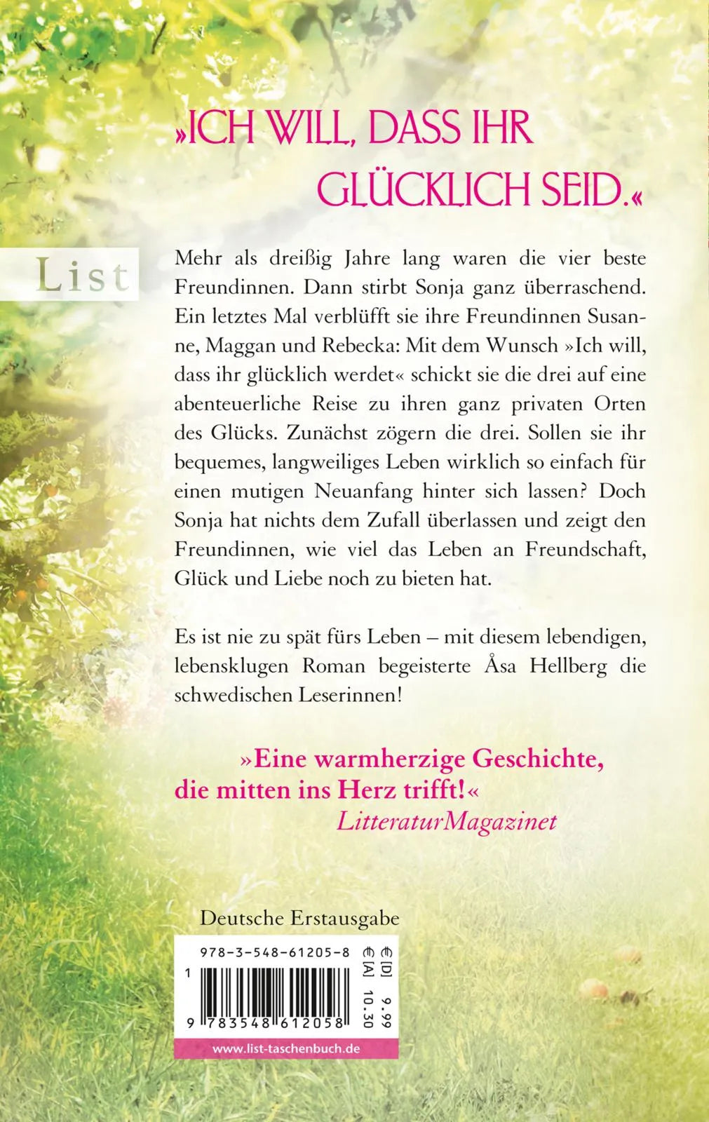 Buchrückseite von 'Sommerfreundinnen' mit Klappentext - Taschenbuch