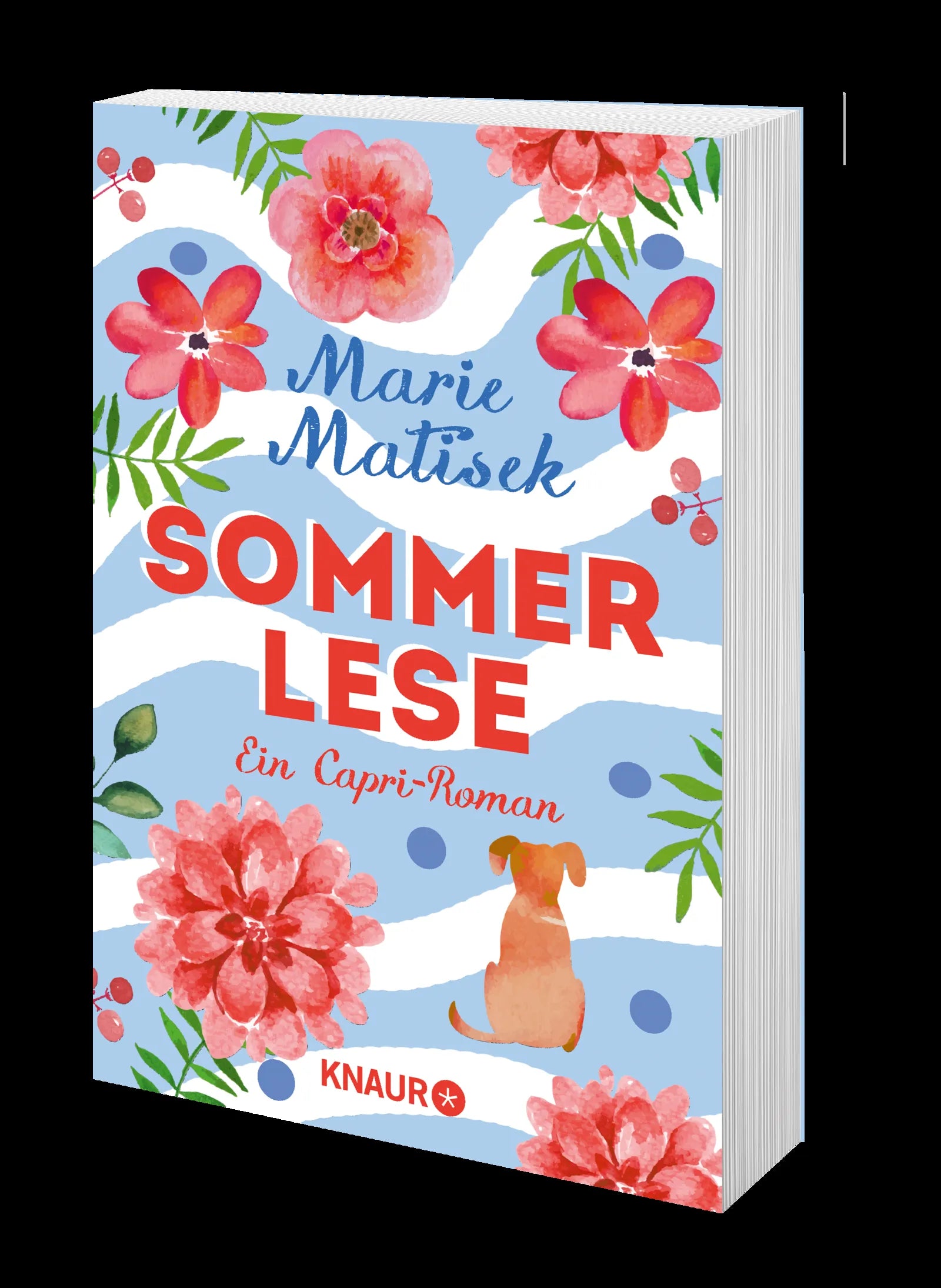 Marie Matisek - Sommerlese