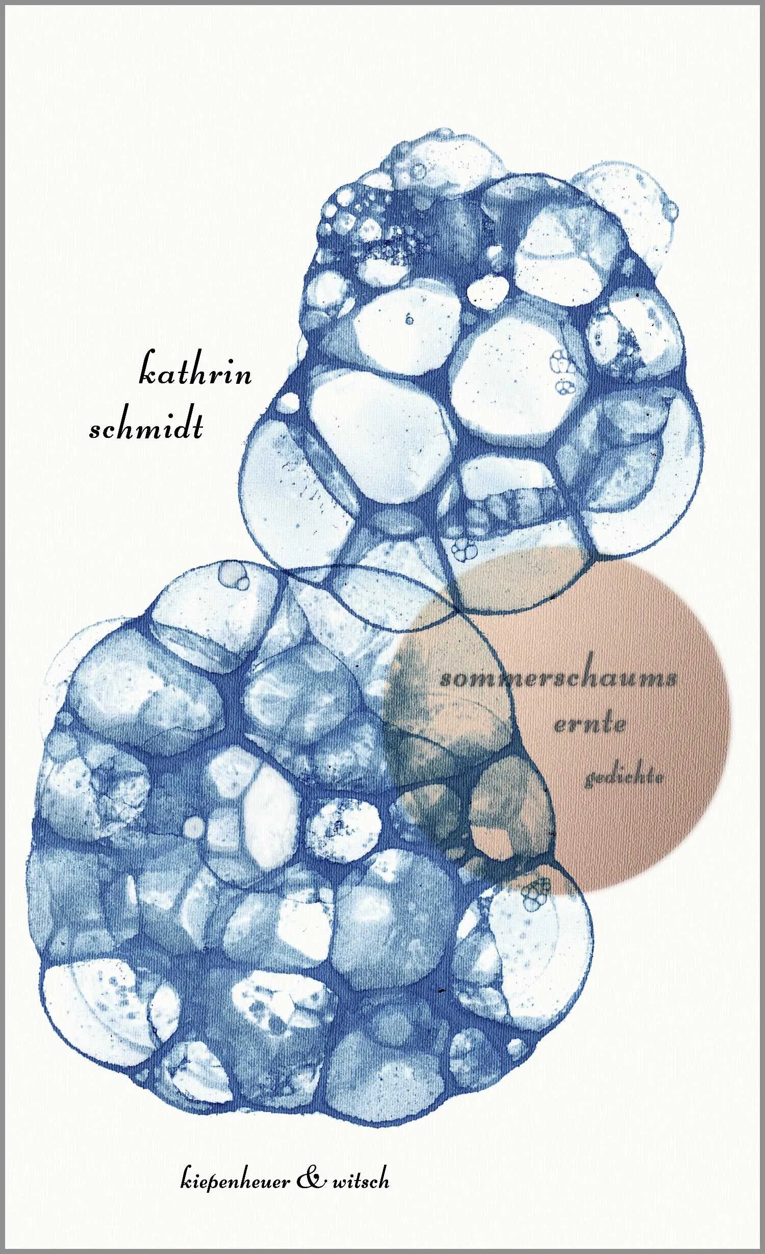 Buchcover von 'sommerschaums ernte' - Gebundene Ausgabe von Kathrin Schmidt