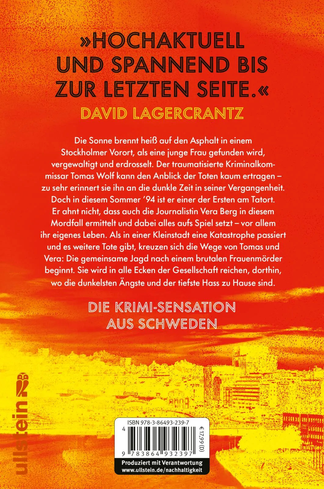 Buchrückseite von 'Sommersonnenwende' mit Klappentext - Paperback