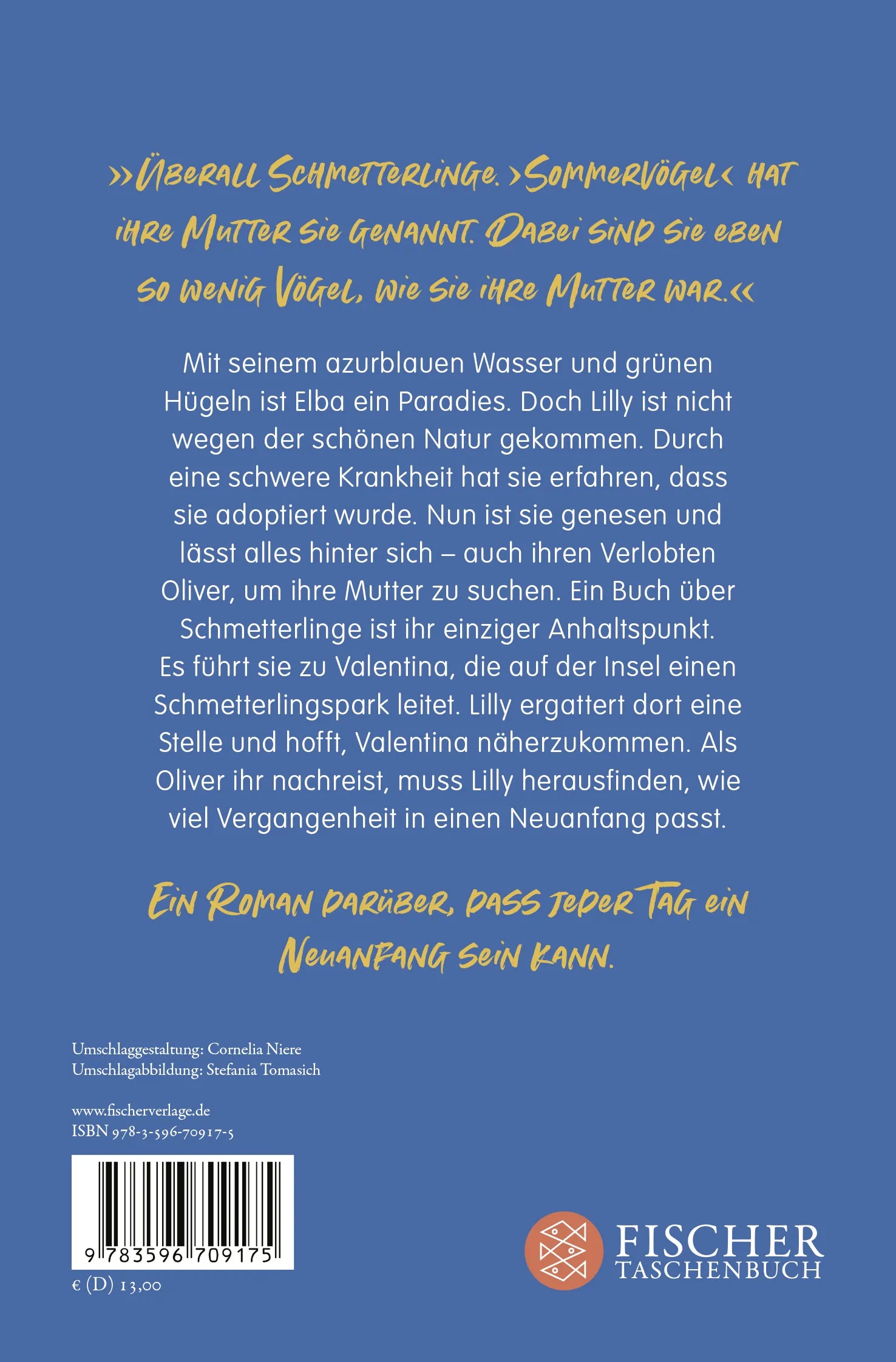 Buchrückseite von 'Sommervogelflug' mit Klappentext - Taschenbuch