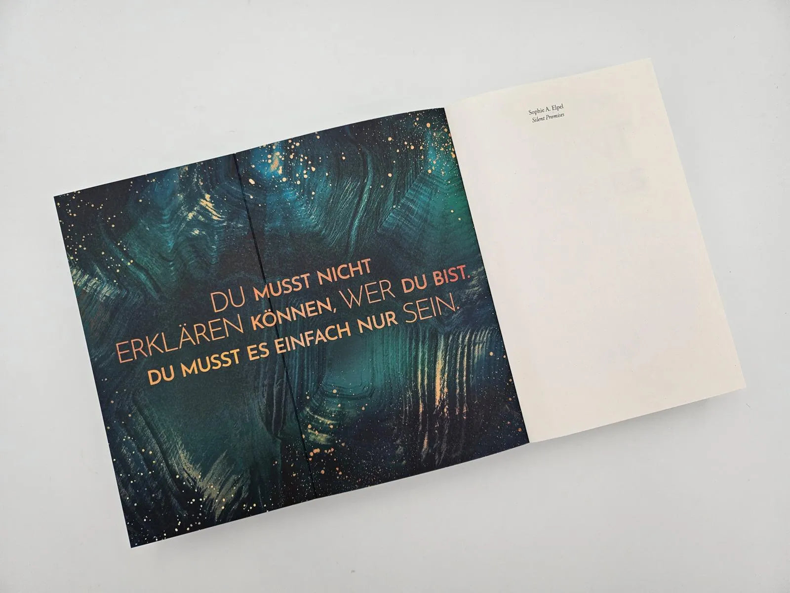 Produktansicht: Silent Promises (Paperback)