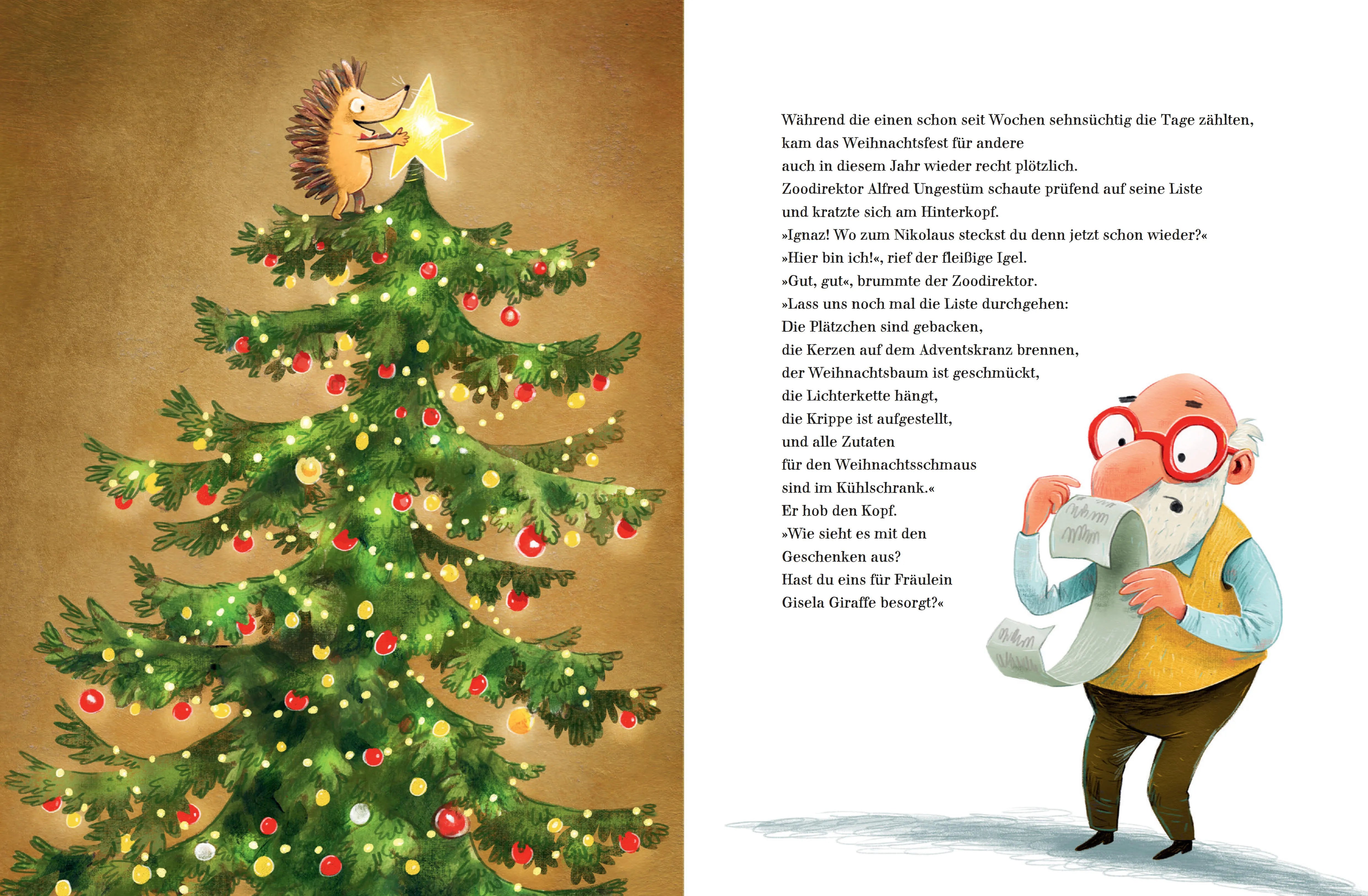 Produktansicht: Das große Weihnachtsfest im Zoo (Gebundene Ausgabe)