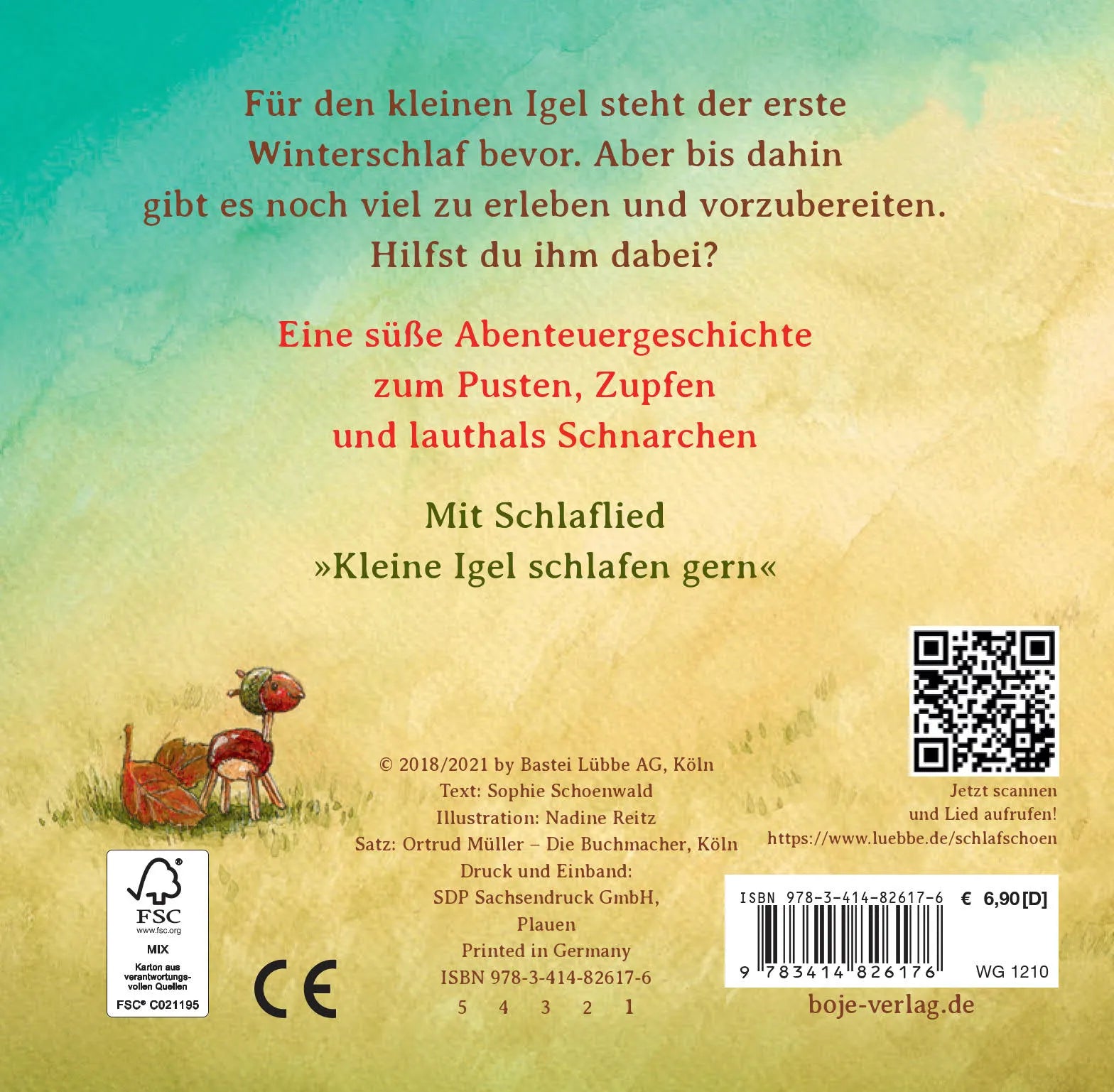 Produktansicht: Schlaf schön, kleiner Igel (Gebundene Ausgabe)