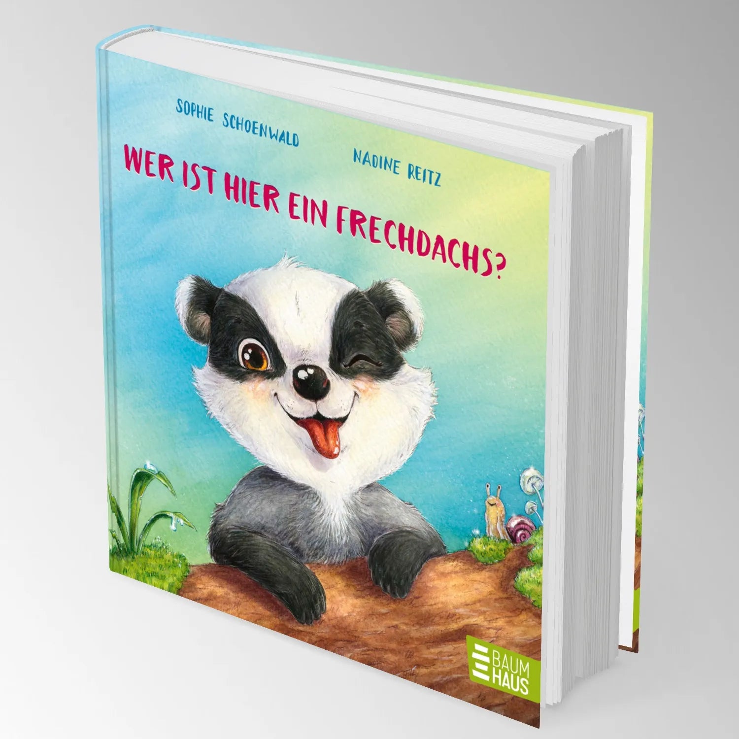 Produktansicht: Wer ist hier ein Frechdachs? (Gebundene Ausgabe)