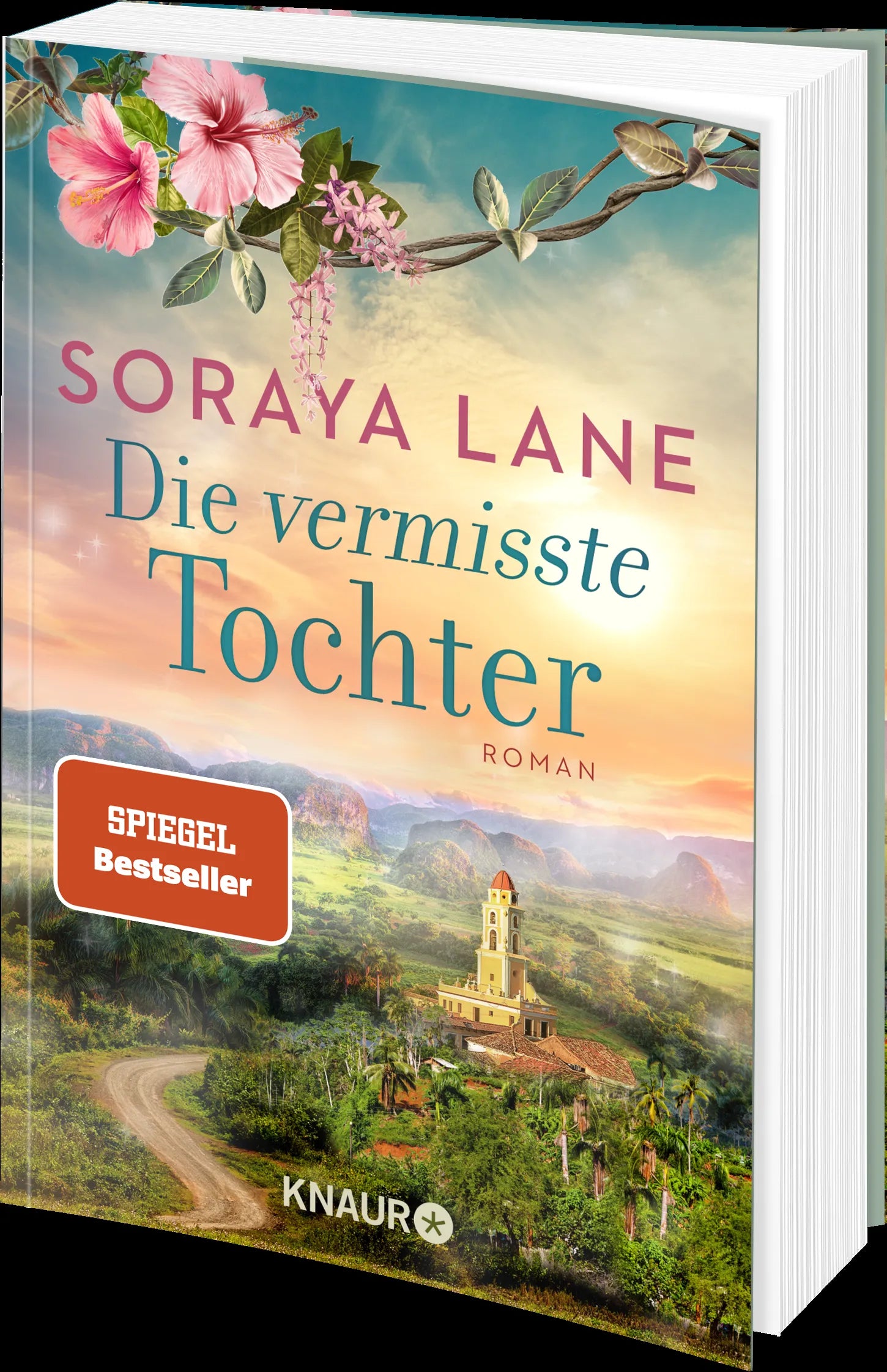 Produktansicht: Die vermisste Tochter (Taschenbuch)