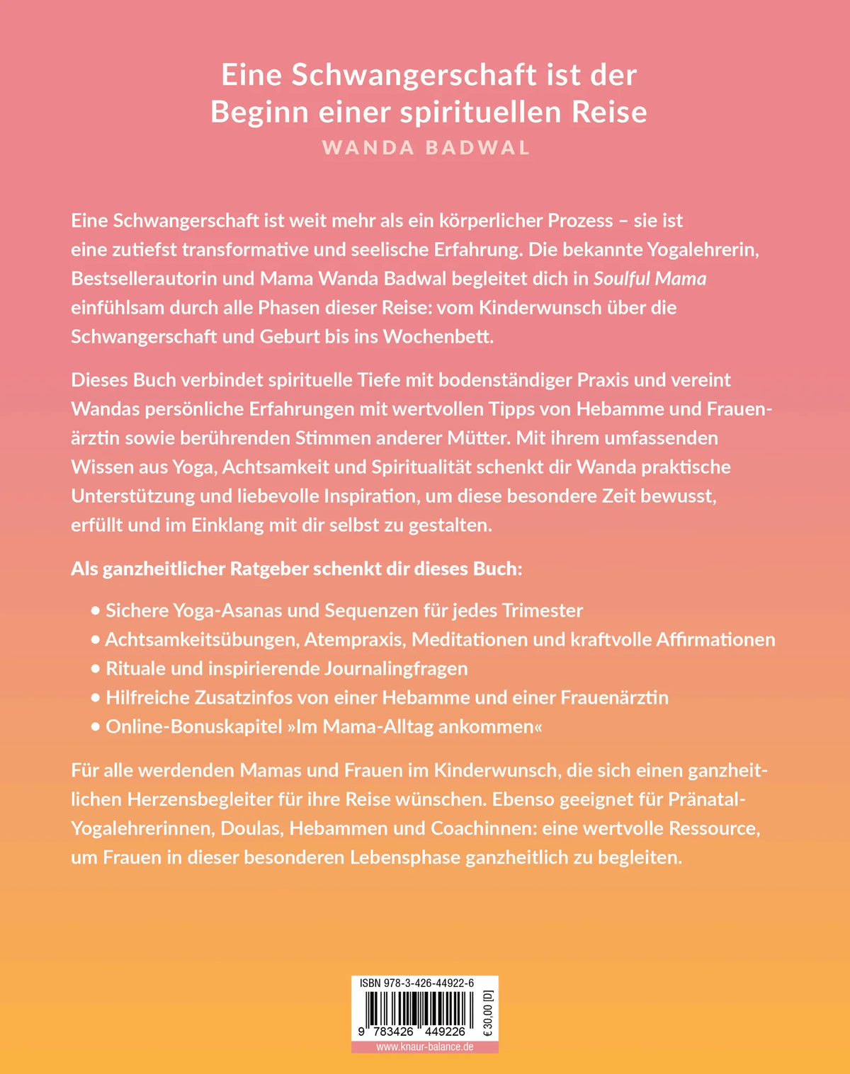 Rückseite: Soulful Mama (Paperback)