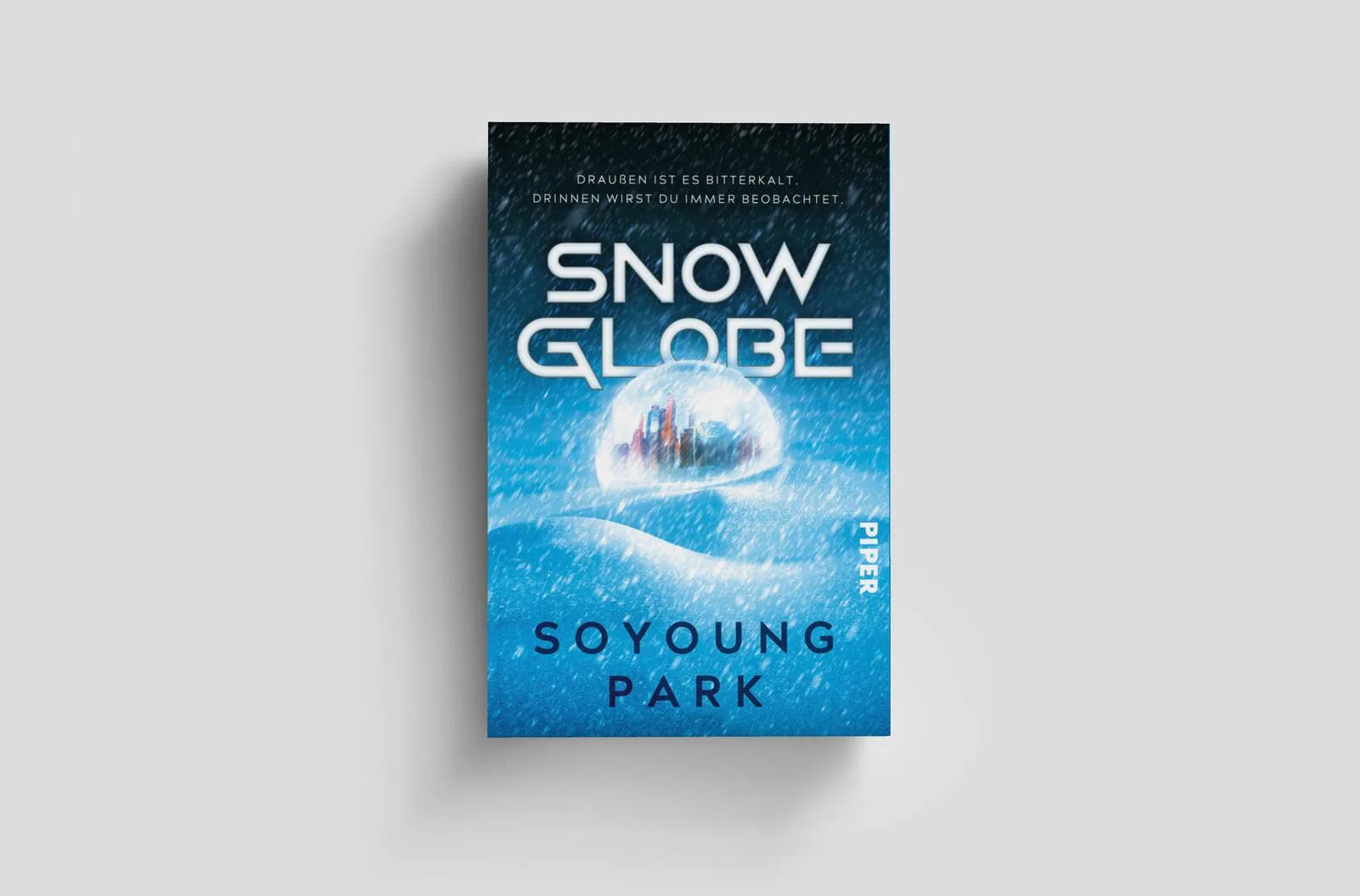 Produktansicht: Snowglobe (Paperback)