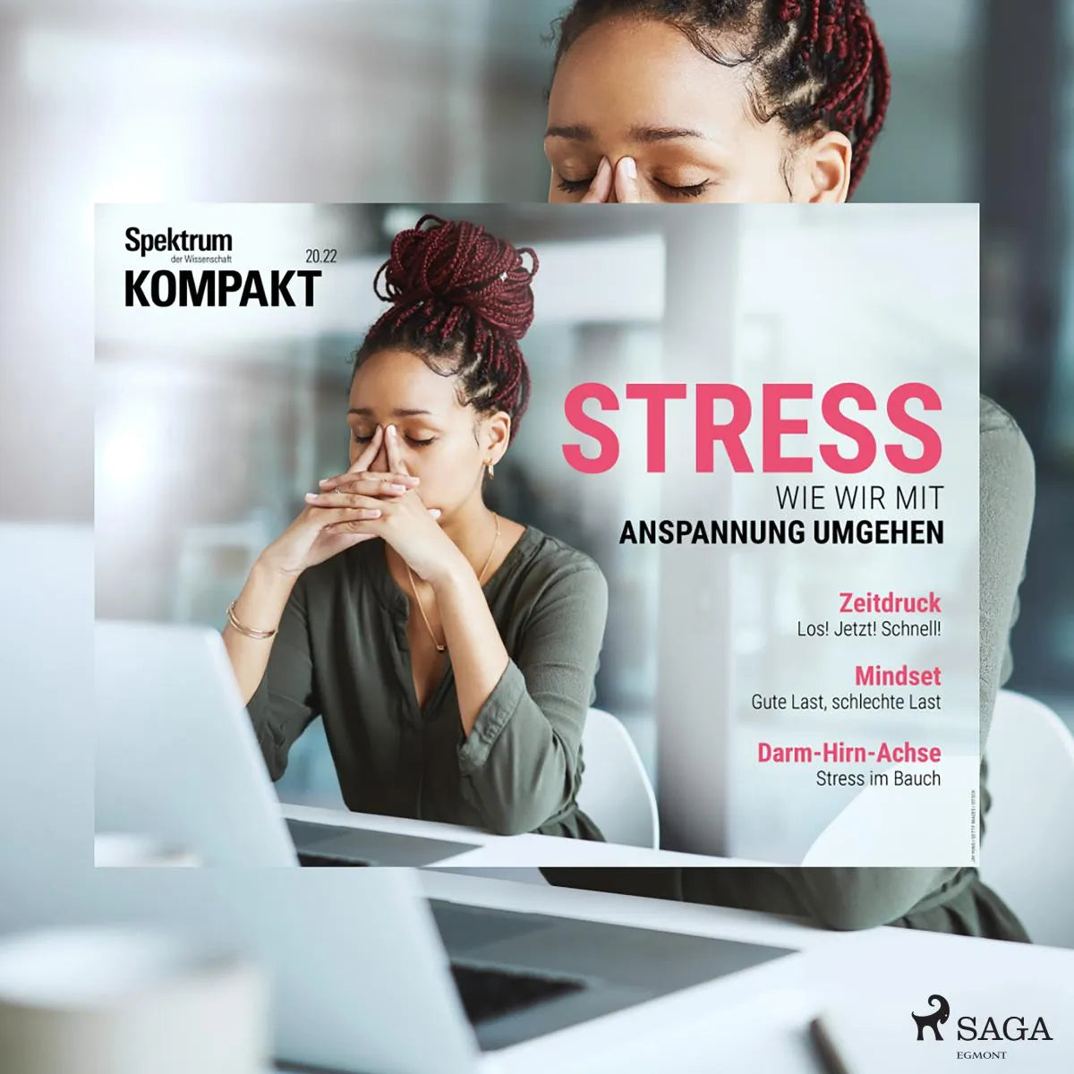 Cover: Spektrum Kompakt: Stress - Wie wir mit Anspannung umgehen (Hörbuch Download)