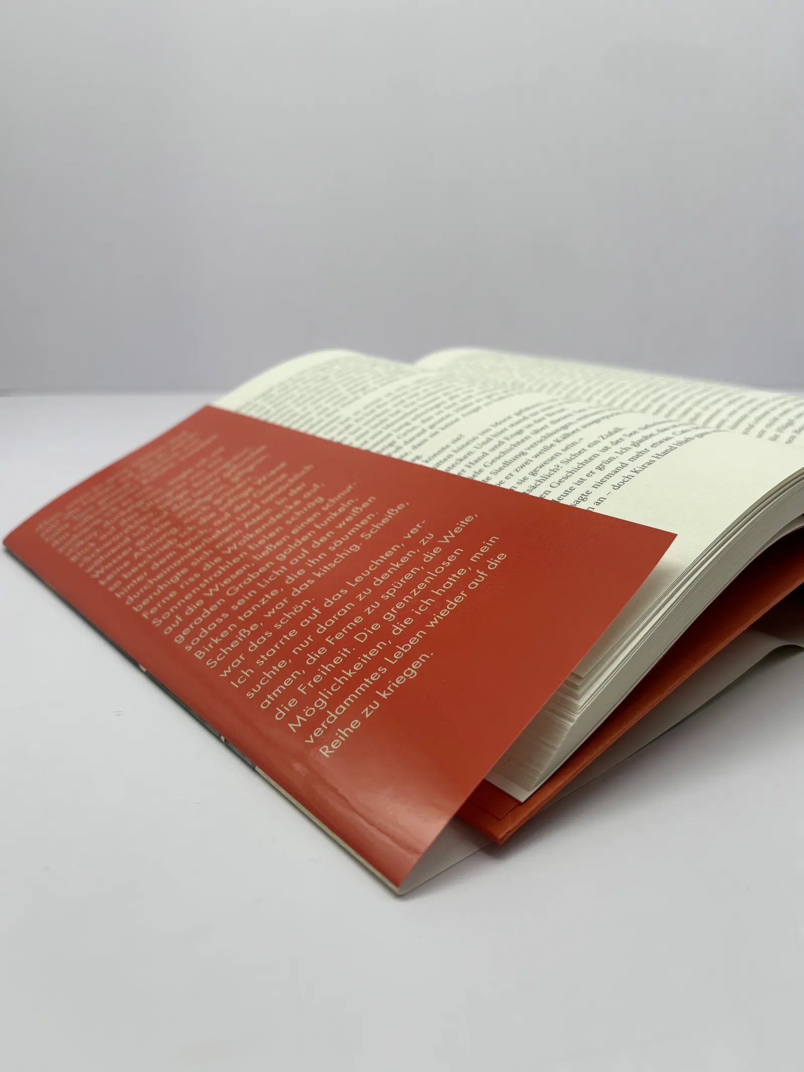 Detailansicht: Spiegelland (Hardcover)