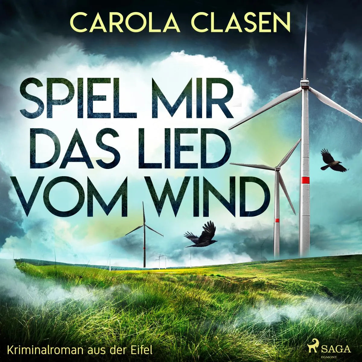 Cover: Spiel mir das Lied vom Wind (Hörbuch Download) von Carola Clasen