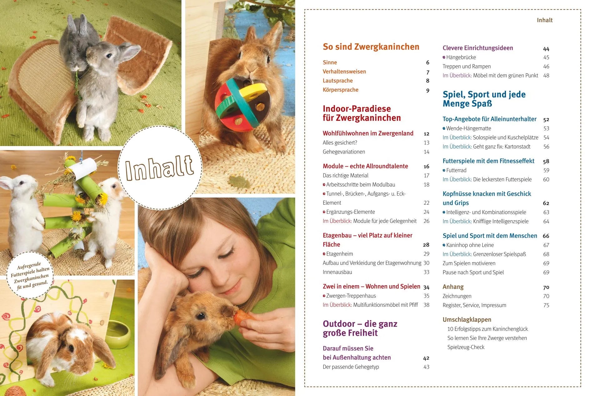 Produktansicht: Spiel- und Wohnideen für Zwergkaninchen (Paperback)
