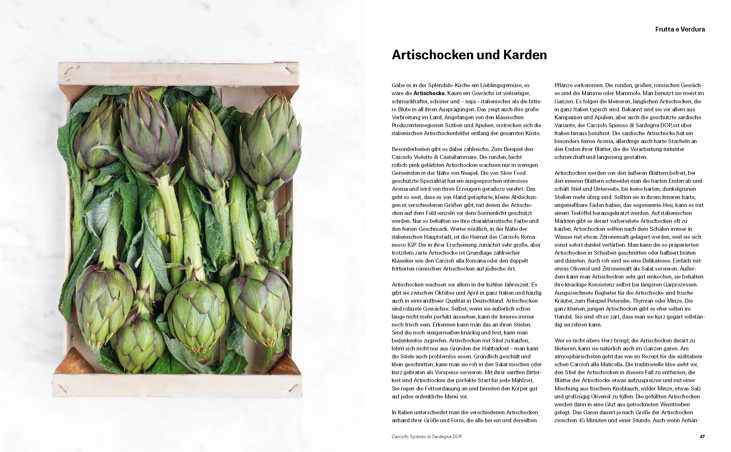 Produktansicht: Splendido. Italienische Produktkunde und Rezepte (Gebundene Ausgabe)