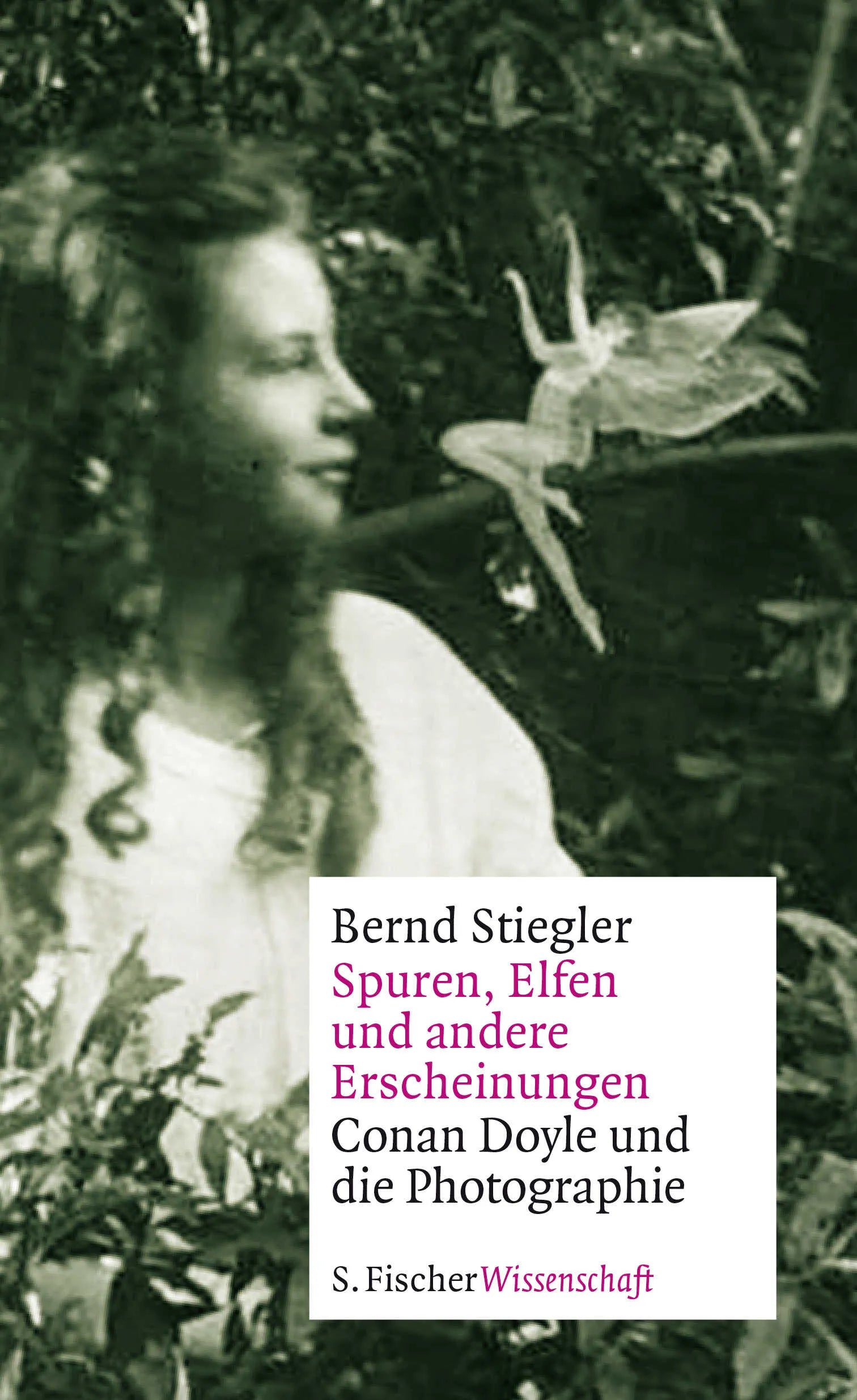 Buchcover von 'Spuren, Elfen und andere Erscheinungen' - Gebundene Ausgabe von Bernd Stiegler