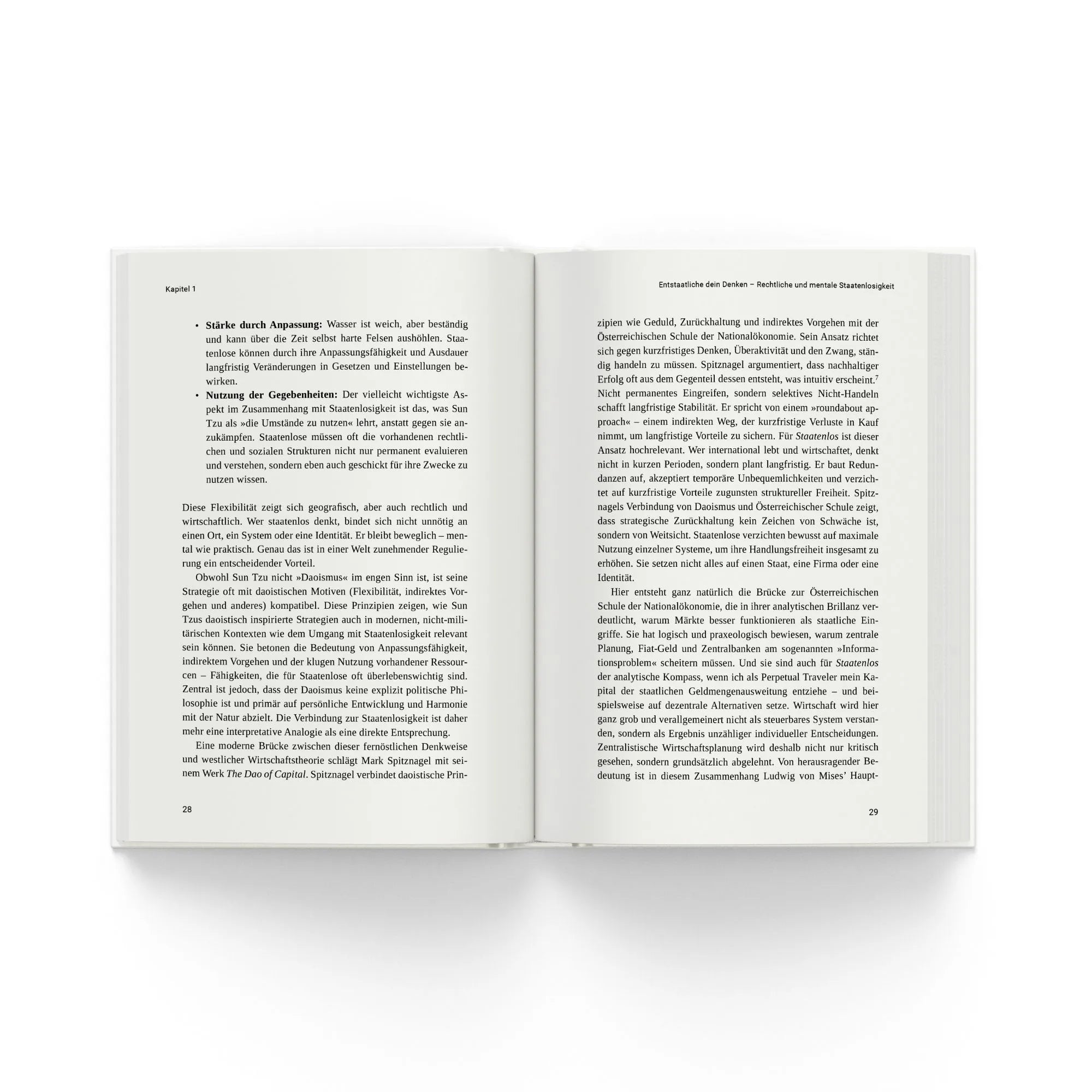 Detailansicht: Staatenlos (Taschenbuch)