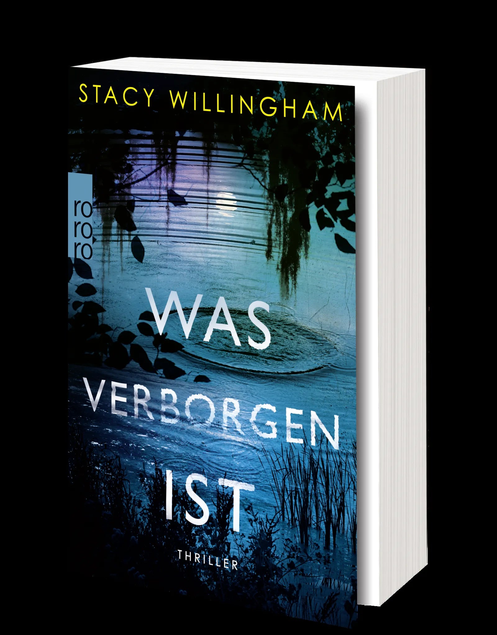 Produktansicht: Was verborgen ist (Taschenbuch)