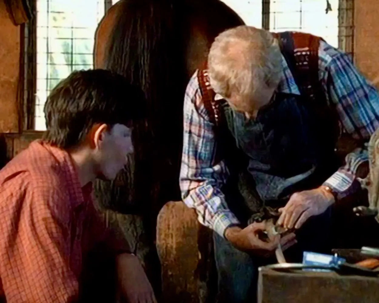 Filmszene 3 aus Star Runner - Ein Rennpferd in Gefahr – DVD