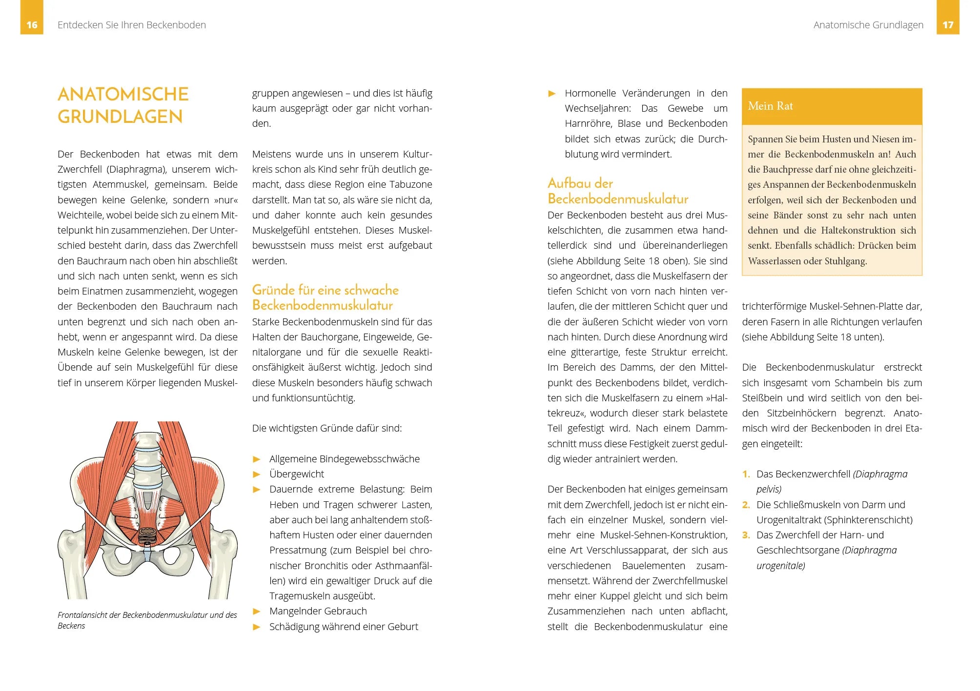 Innenansicht von 'Starker Beckenboden' - Taschenbuch