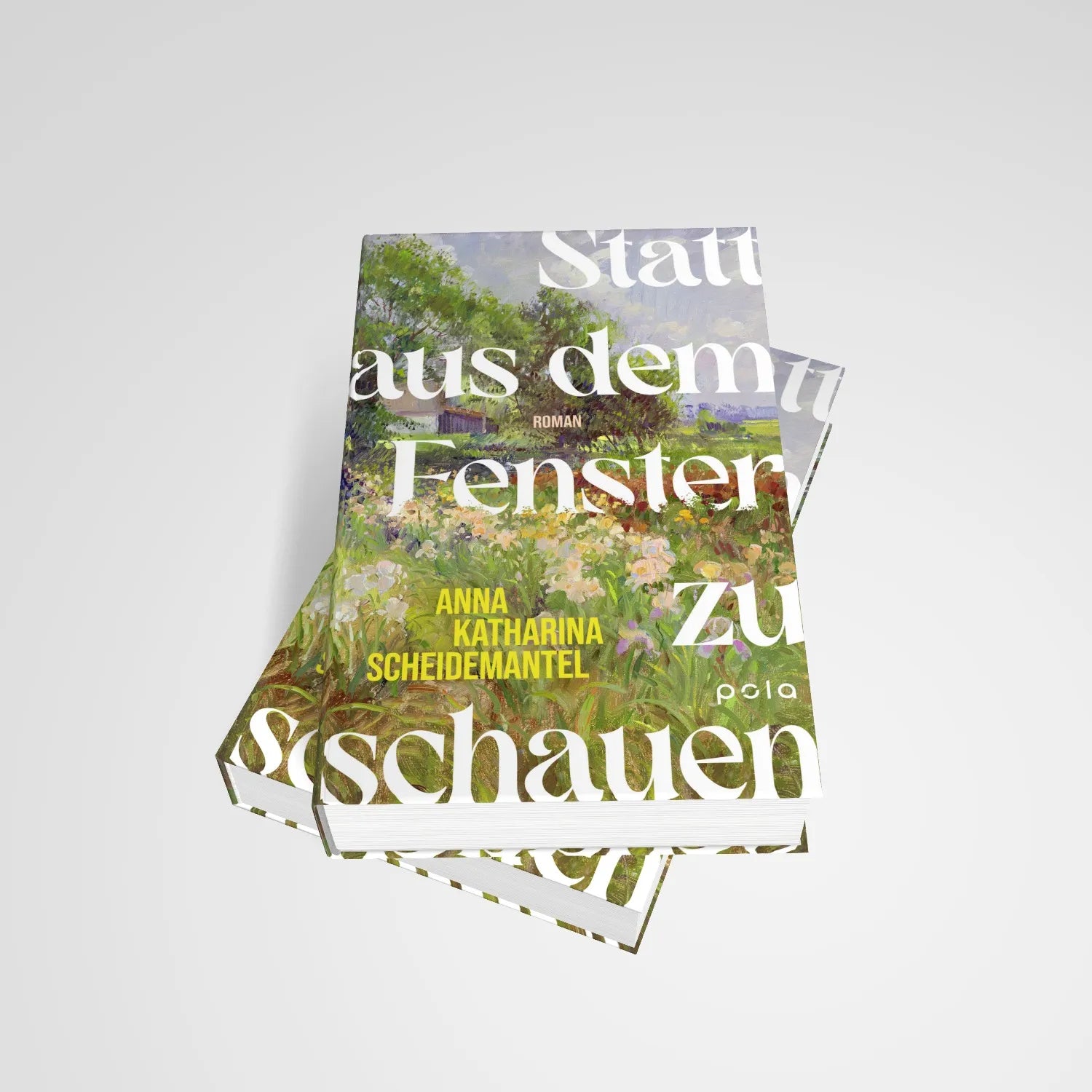 Detailansicht: Statt aus dem Fenster zu schauen (Hardcover)
