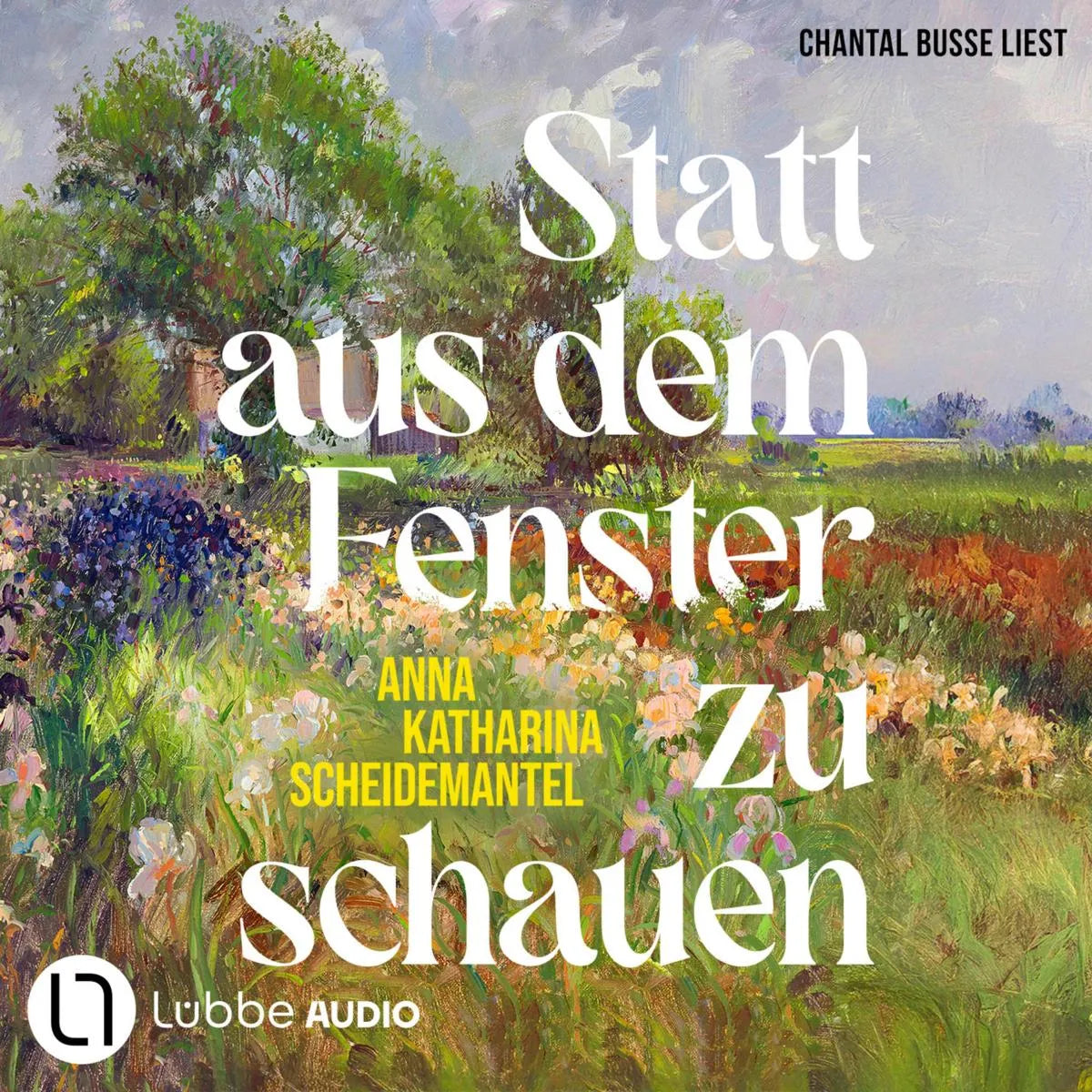 Cover: Statt aus dem Fenster zu schauen (Hörbuch Download) von Anna Katharina Scheidemantel