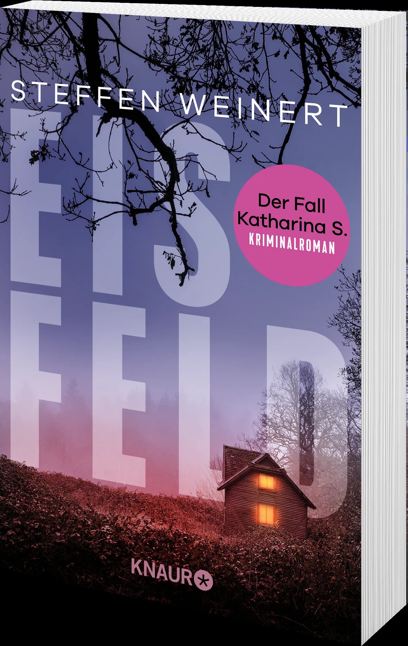 Produktansicht: Eisfeld - Der Fall Katharina S. (Taschenbuch)