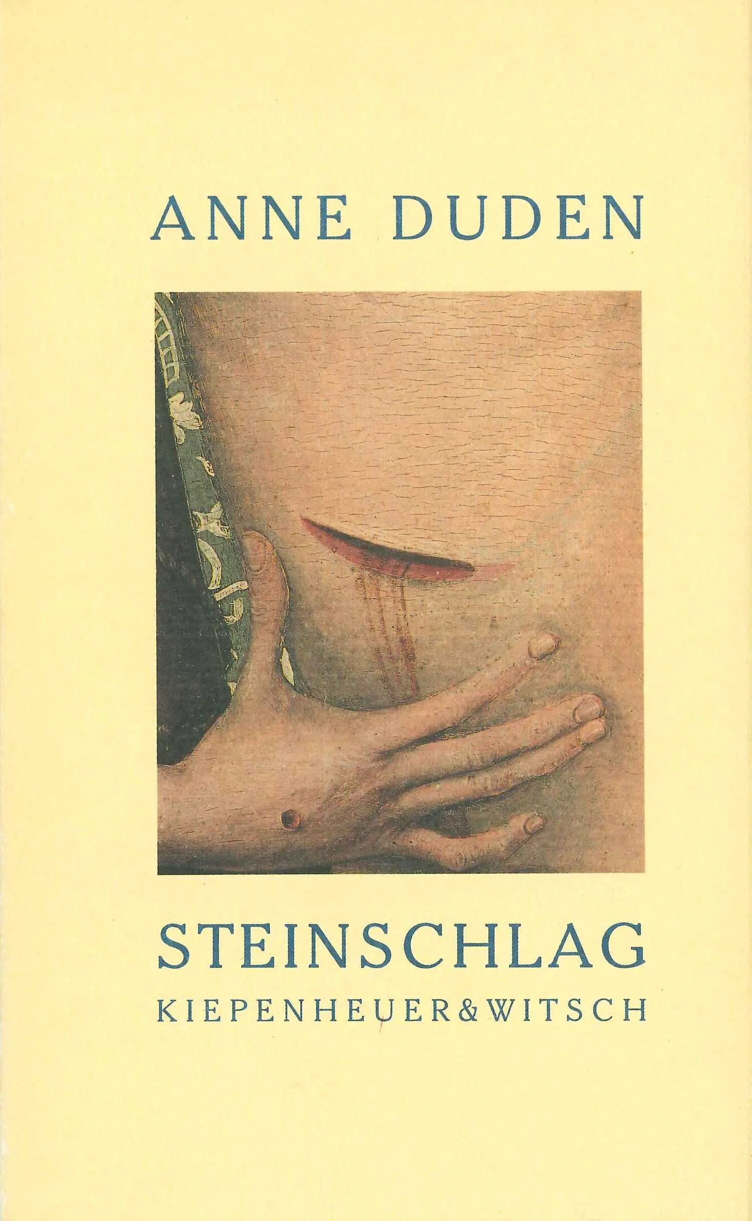 Buchcover von 'Steinschlag' - Gebundene Ausgabe von Anne Duden