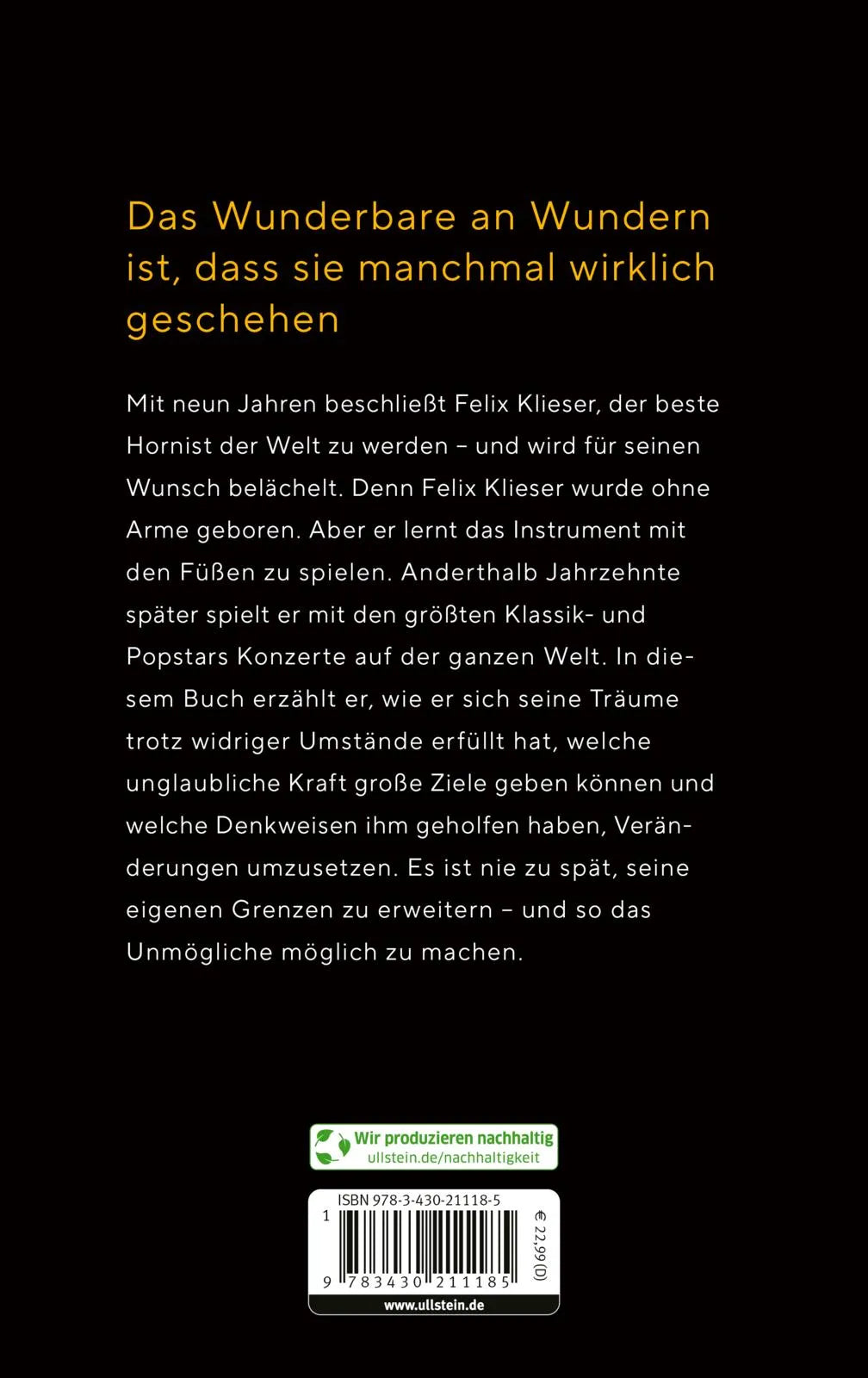 Buchrückseite von 'Stell dir vor, es geht nicht, und einer tut es doch' mit Klappentext - Gebundene Ausgabe