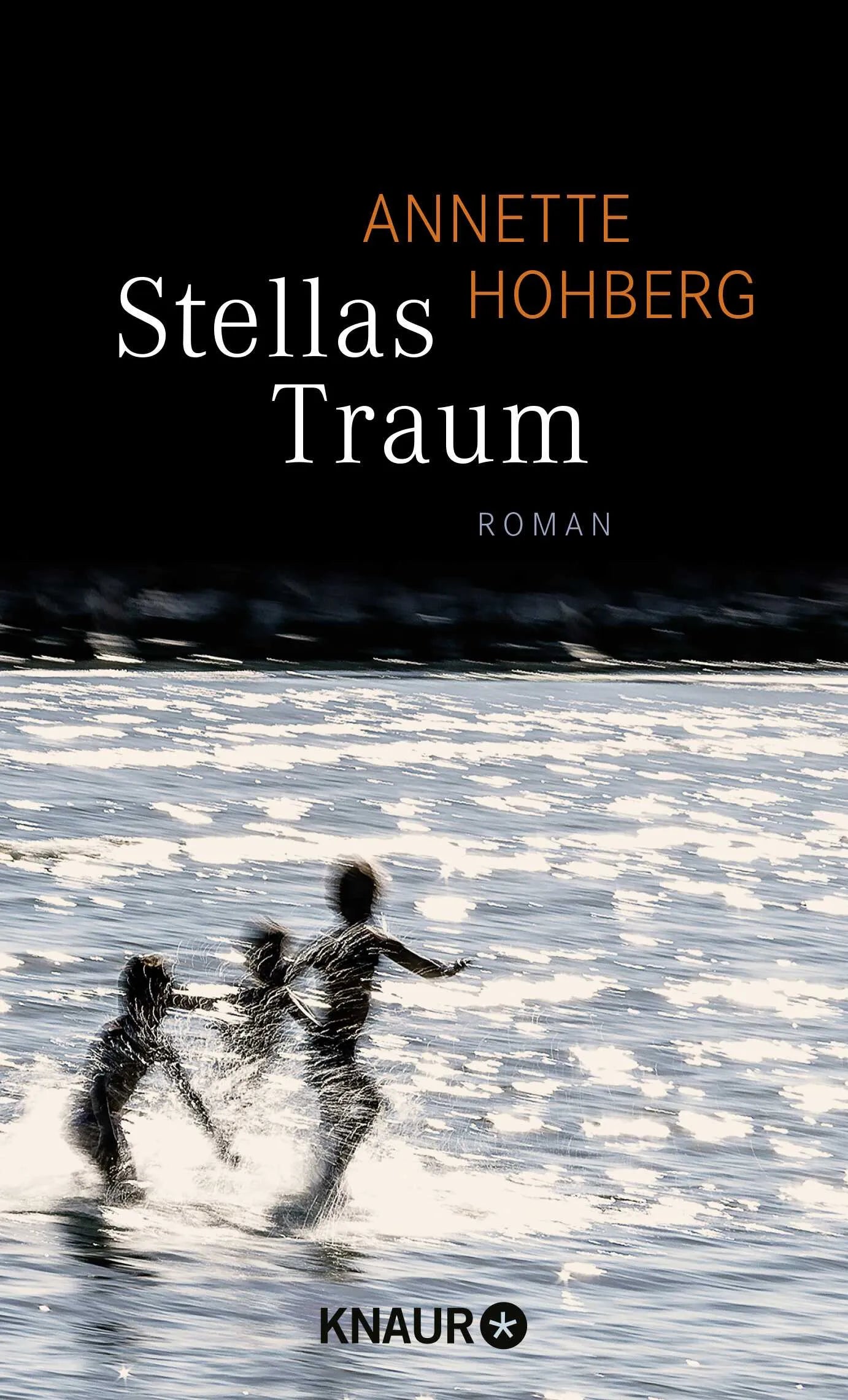 Buchcover von 'Stellas Traum' - Gebundene Ausgabe von Annette Hohberg