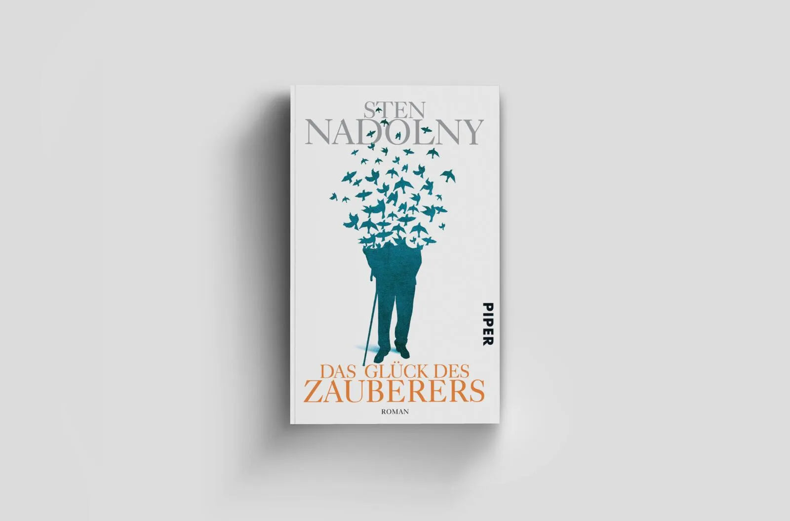 Produktansicht: Das Glück des Zauberers (Taschenbuch)