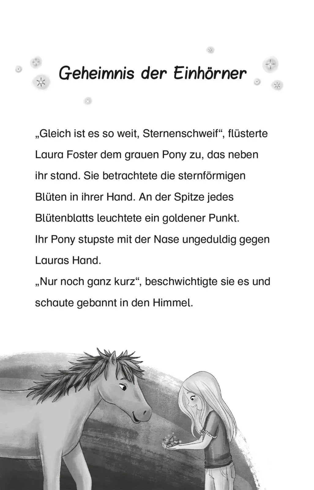 Detailansicht: Sternenschweif 2: Sprung in die Nacht (Taschenbuch)