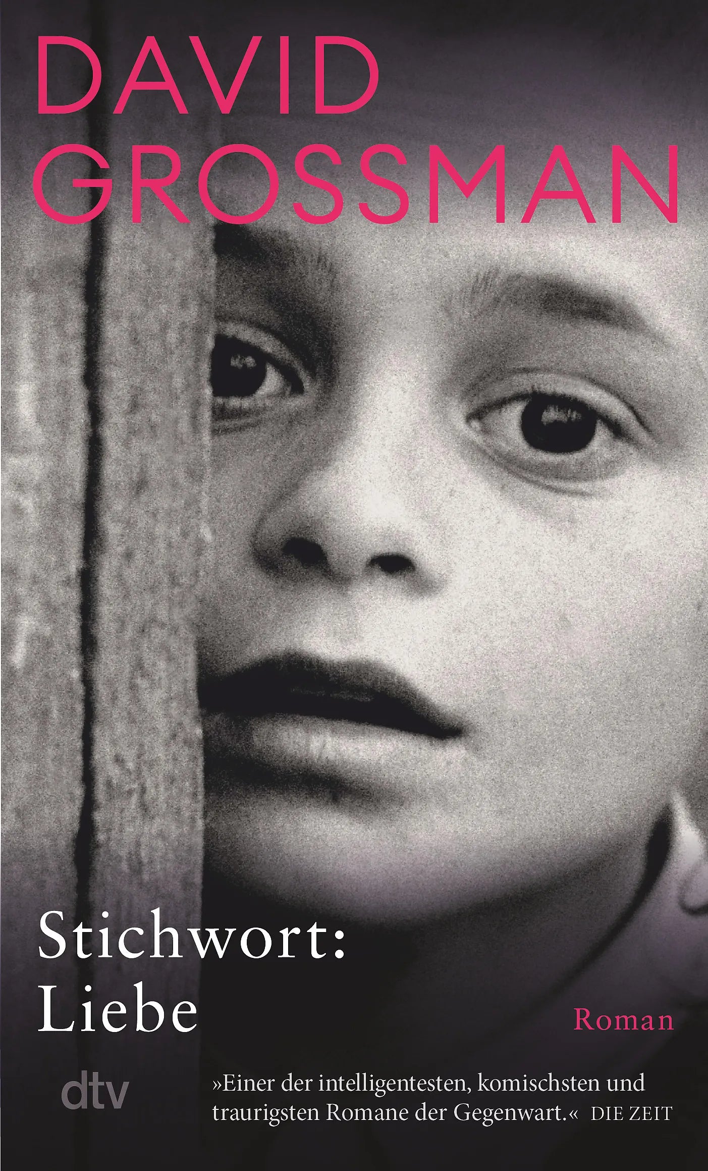 Buchcover von 'Stichwort: Liebe' - Taschenbuch von David Grossman