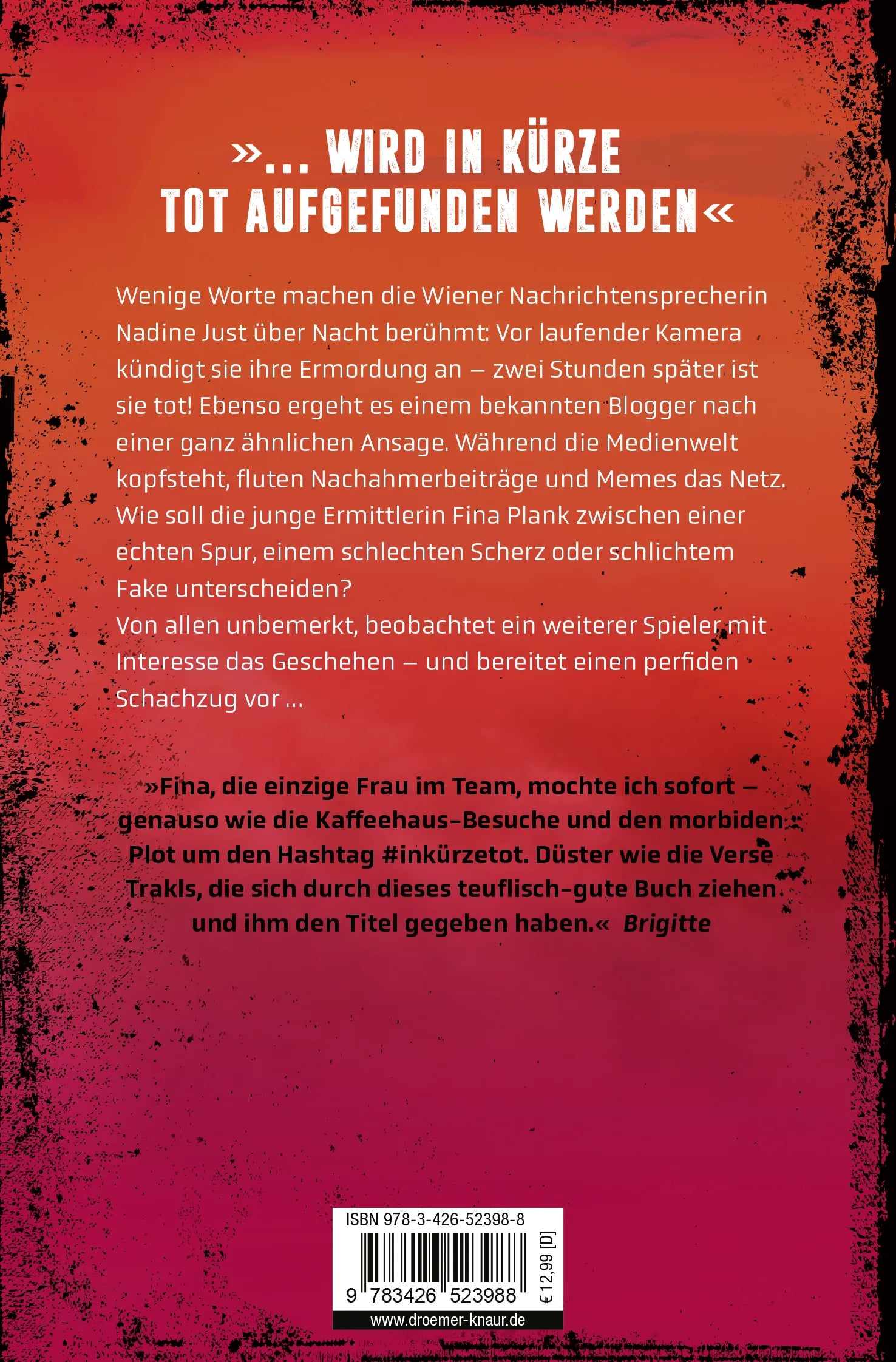 Buchrückseite von 'Stille blutet' mit Klappentext - Taschenbuch