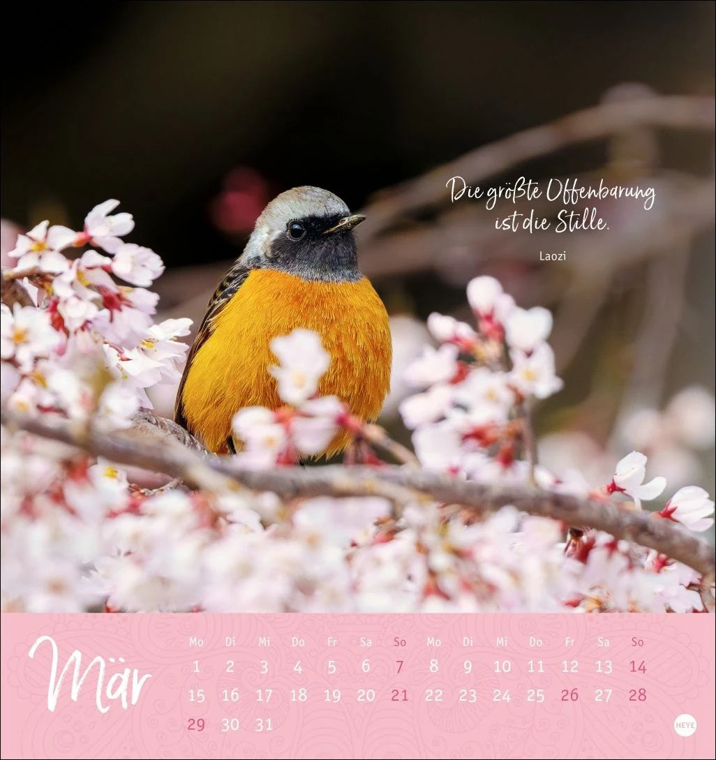 Stille Momente Postkartenkalender 2027 – Ansicht