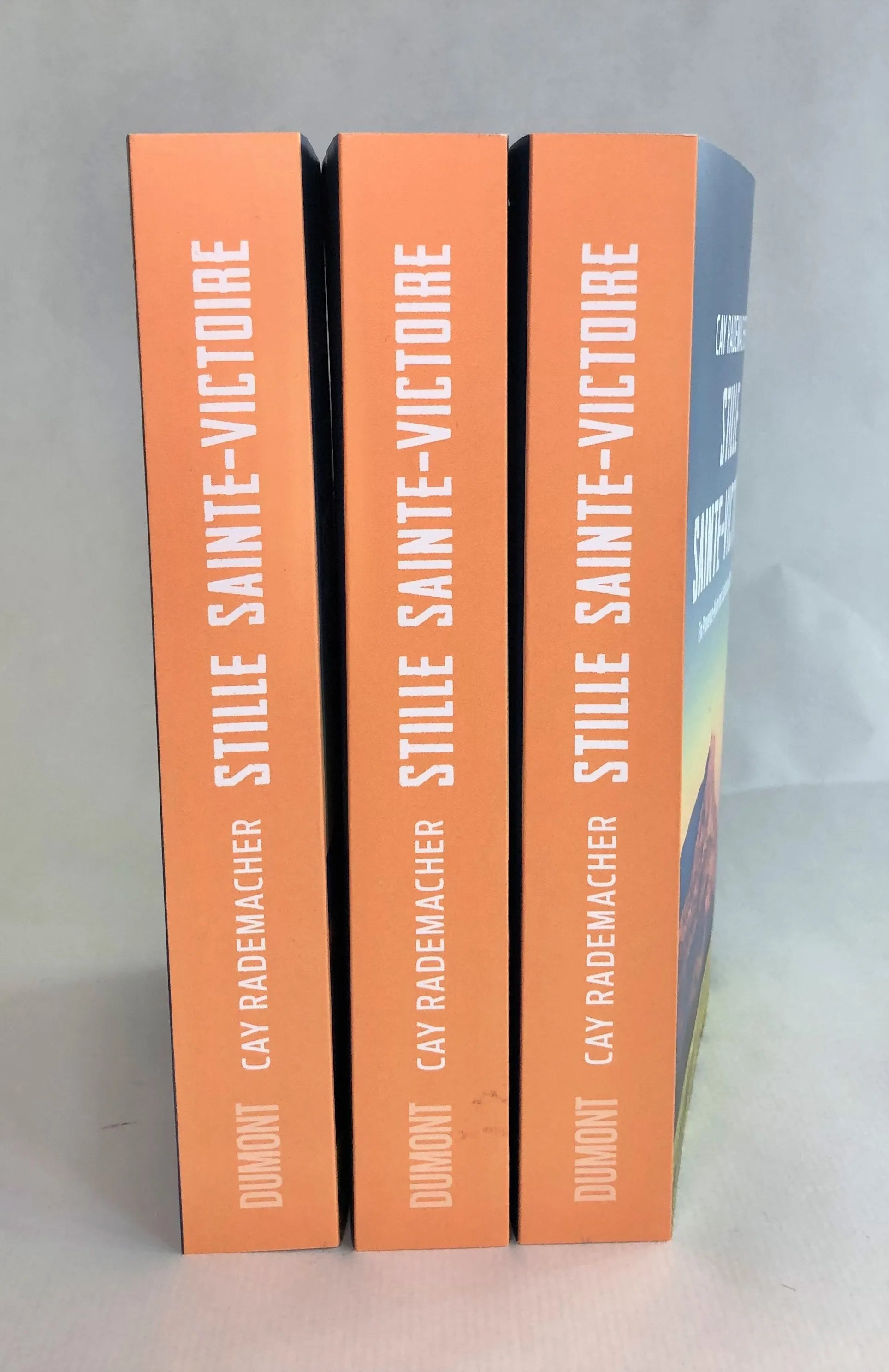 Produktansicht: Stille Sainte-Victoire (Paperback)