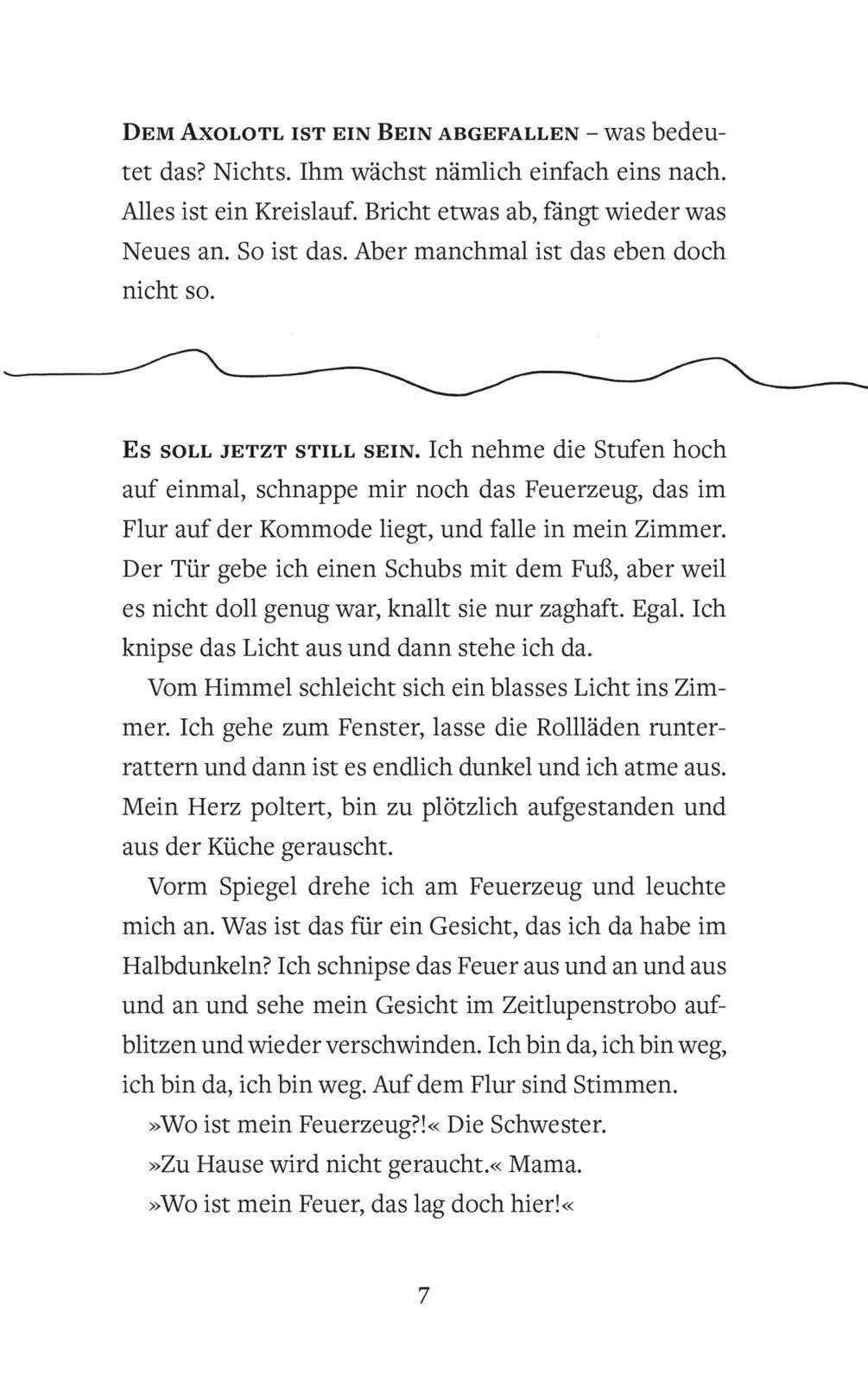 Produktansicht: Stolpertage (Gebundene Ausgabe)