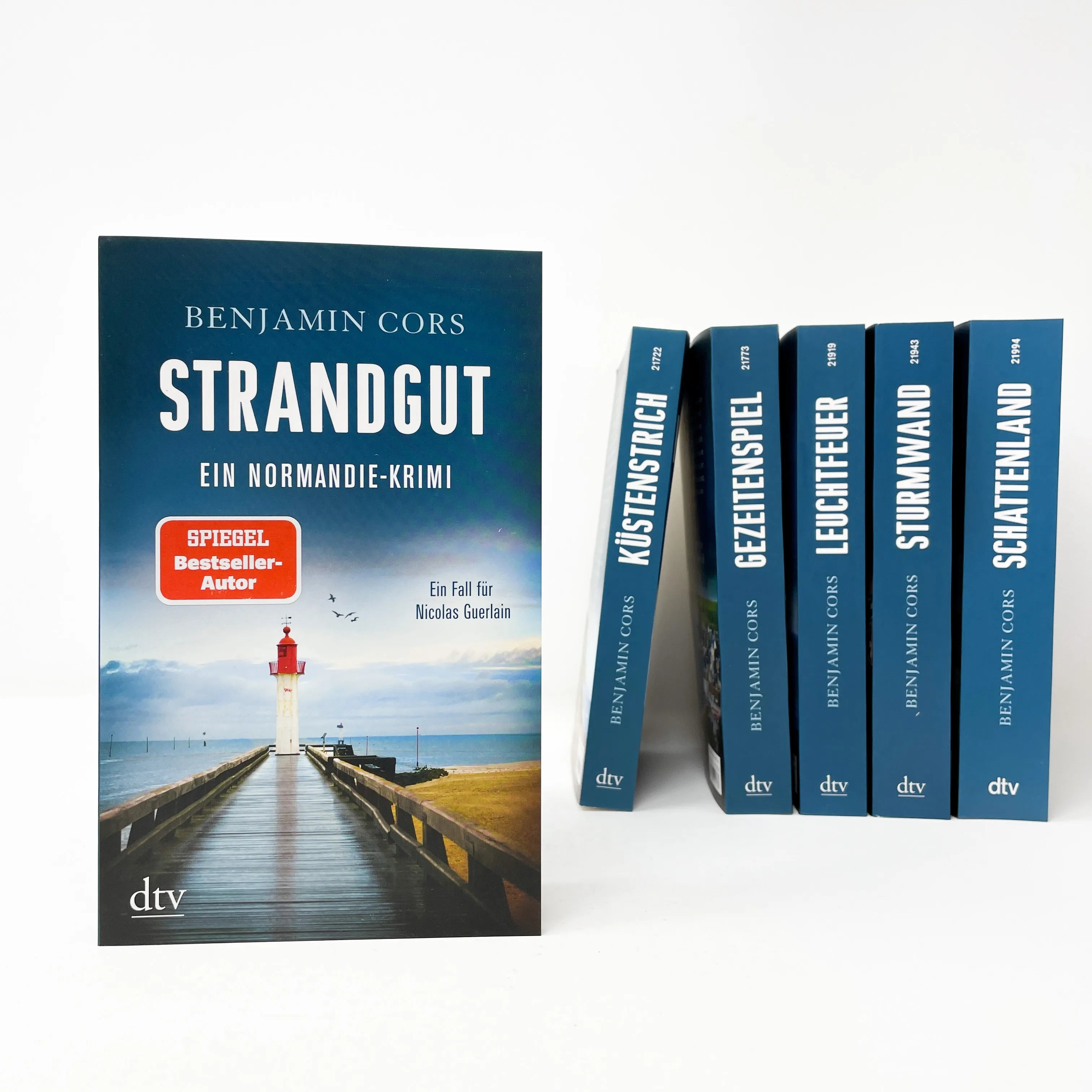 Produktansicht: Strandgut (Taschenbuch)