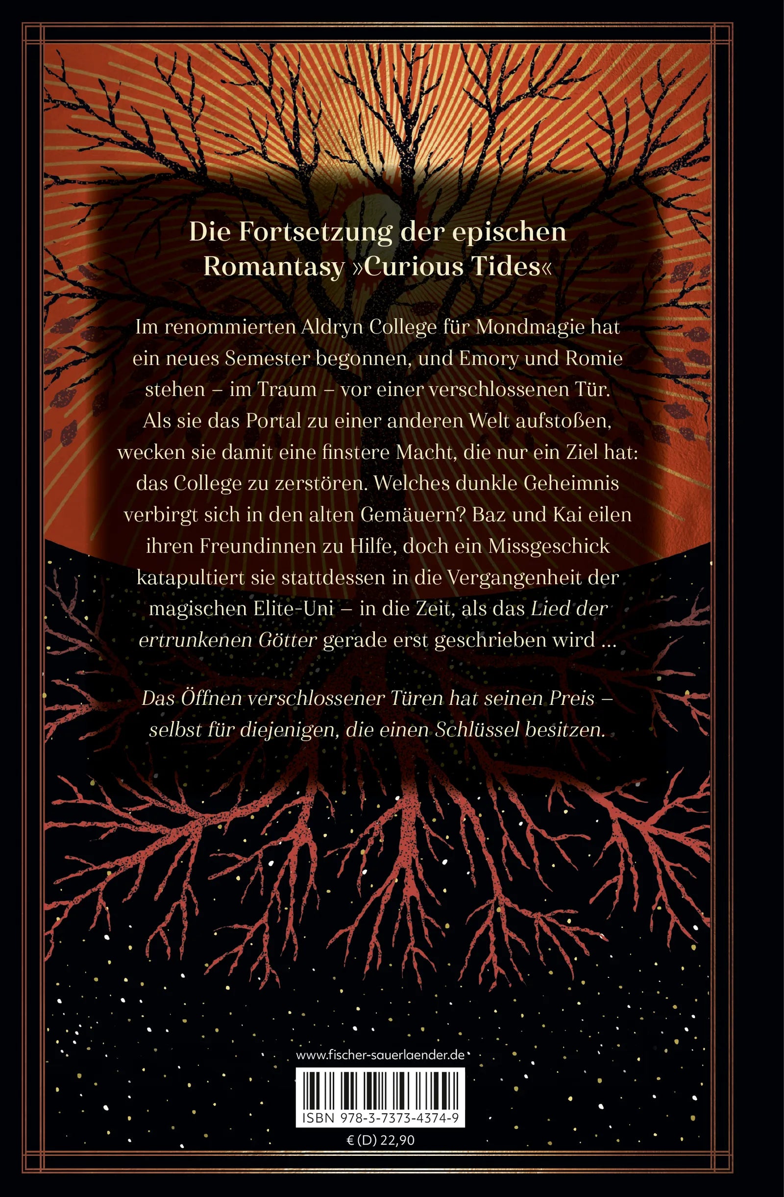 Buchrückseite von 'Stranger Skies' mit Klappentext - Gebundene Ausgabe