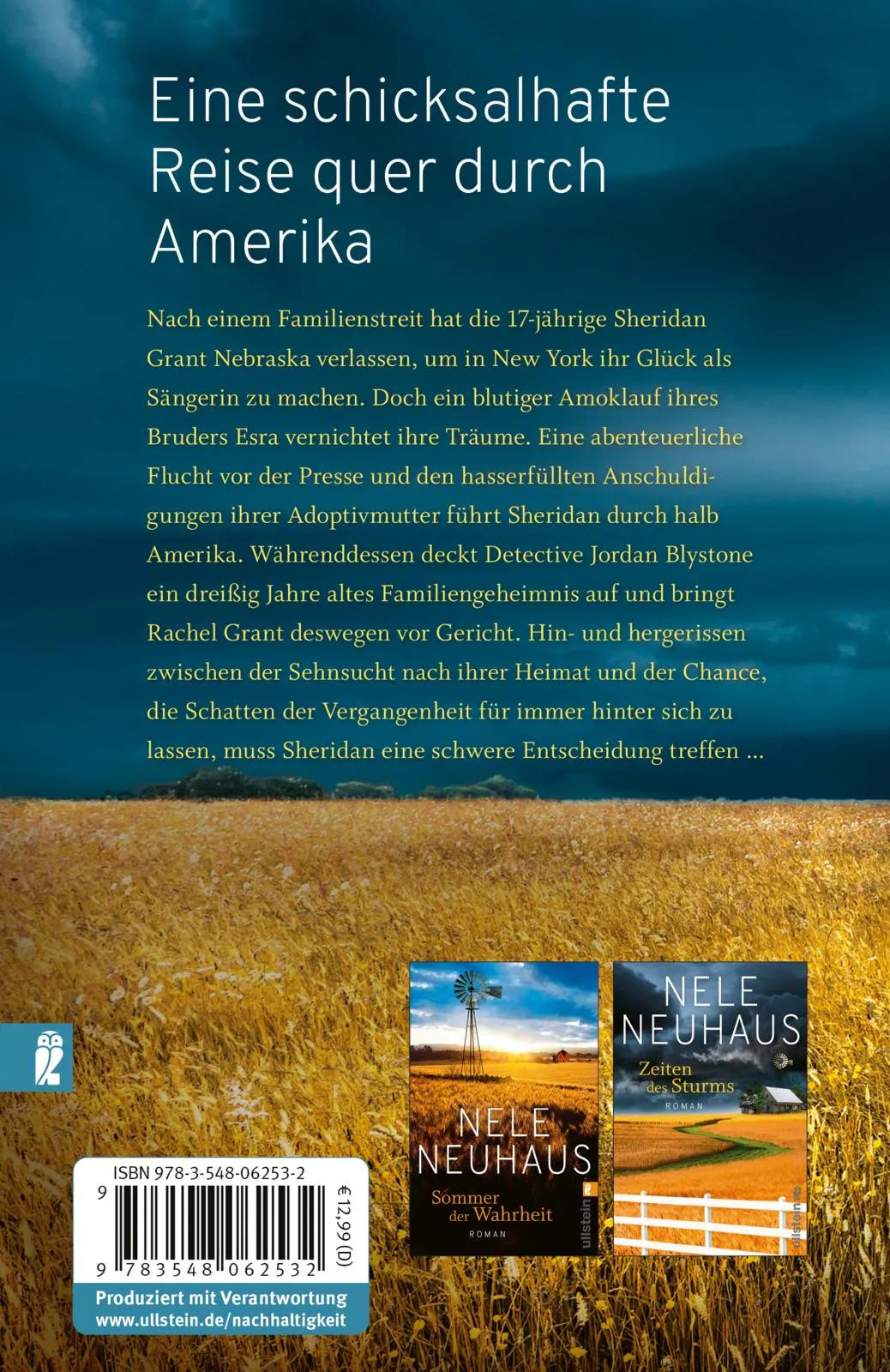 Buchrückseite von 'Straße nach Nirgendwo' mit Klappentext - Taschenbuch
