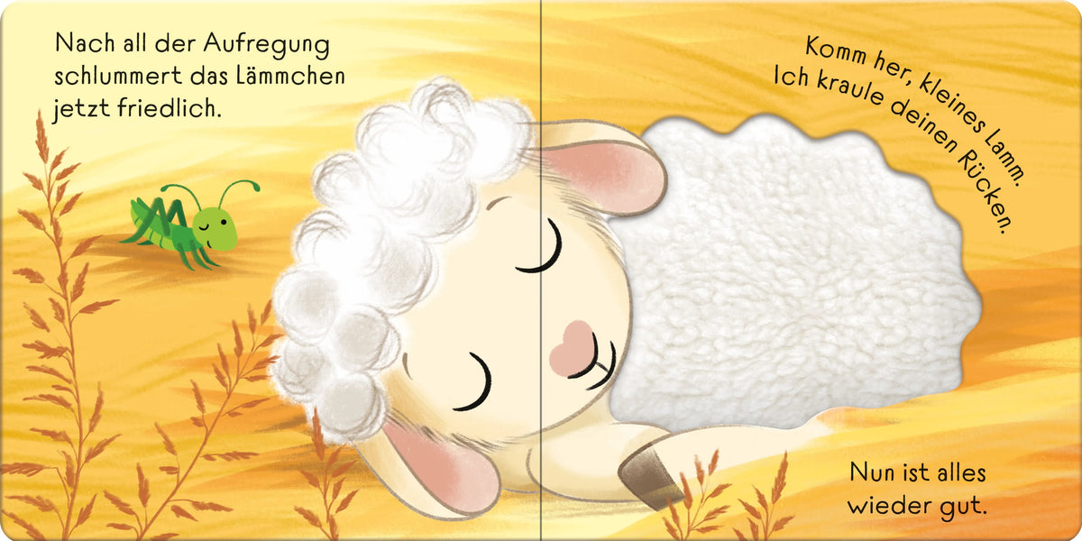 Detailansicht: Streichle das kleine Lamm (Hardcover)