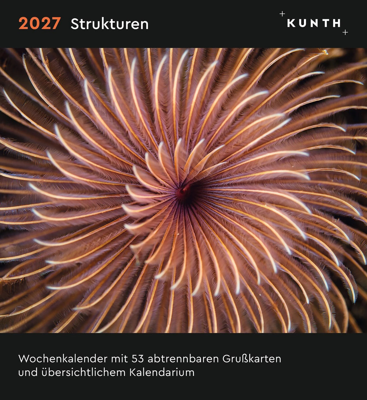 Postkartenkalender: Strukturen - KUNTH Postkartenkalender 2027