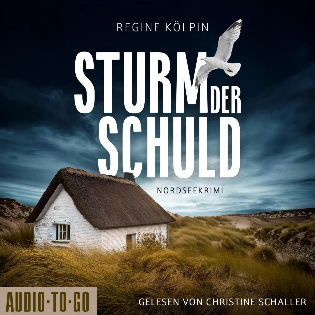 Cover: Sturm der Schuld (Hörbuch Download) von Regine Kölpin