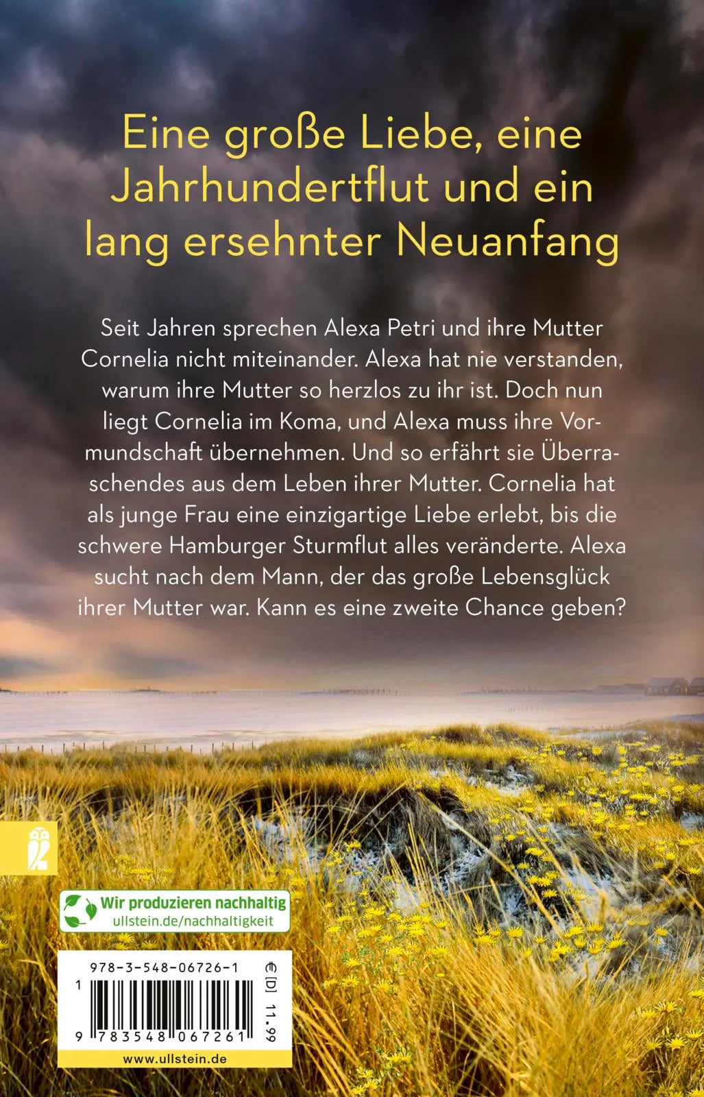 Buchrückseite von 'Sturmherz' mit Klappentext - Taschenbuch