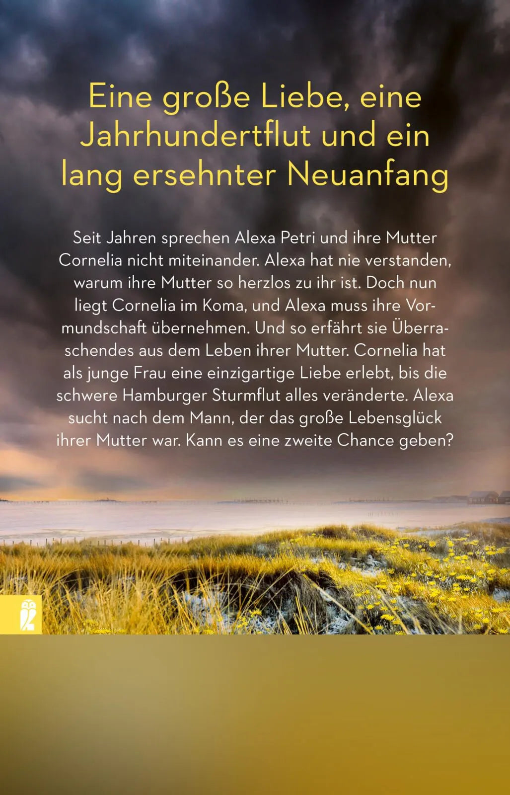 Rückseite: Sturmherz (Taschenbuch)